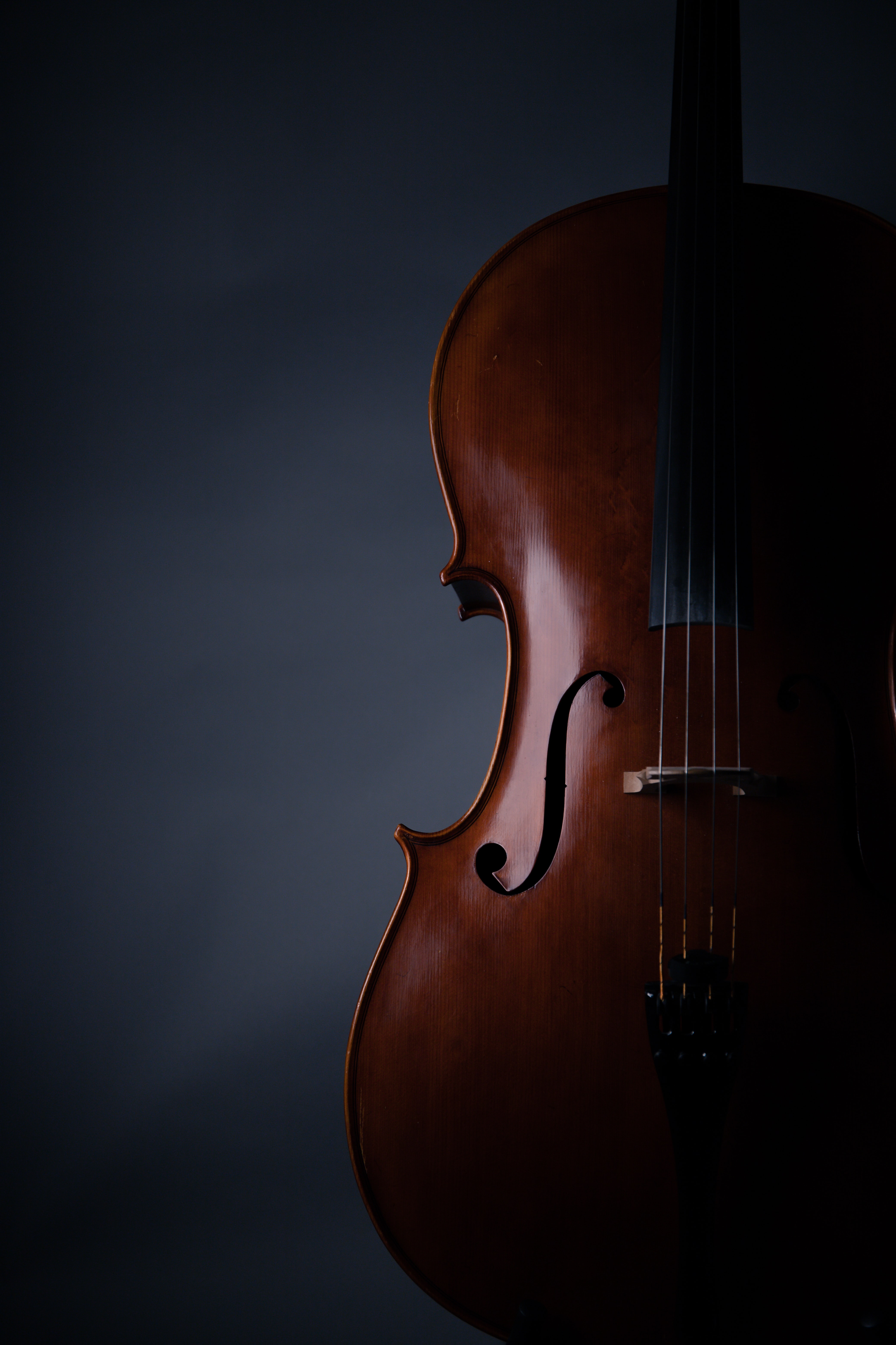 violin, musical instrument, music