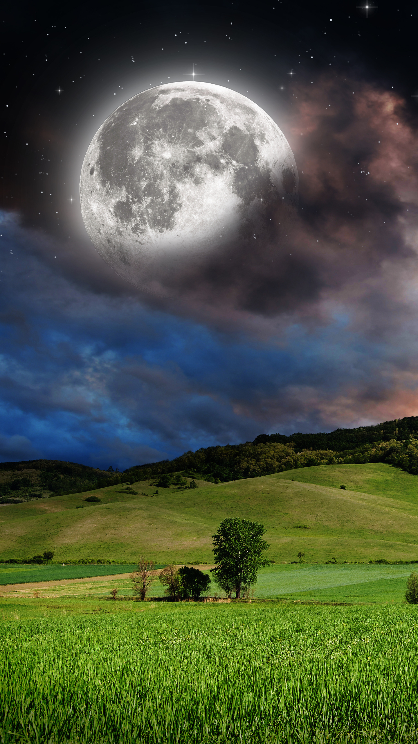 Download mobile wallpaper Sky, Stars, Moon, Starry Sky, Earth, Field, Meadow for free.