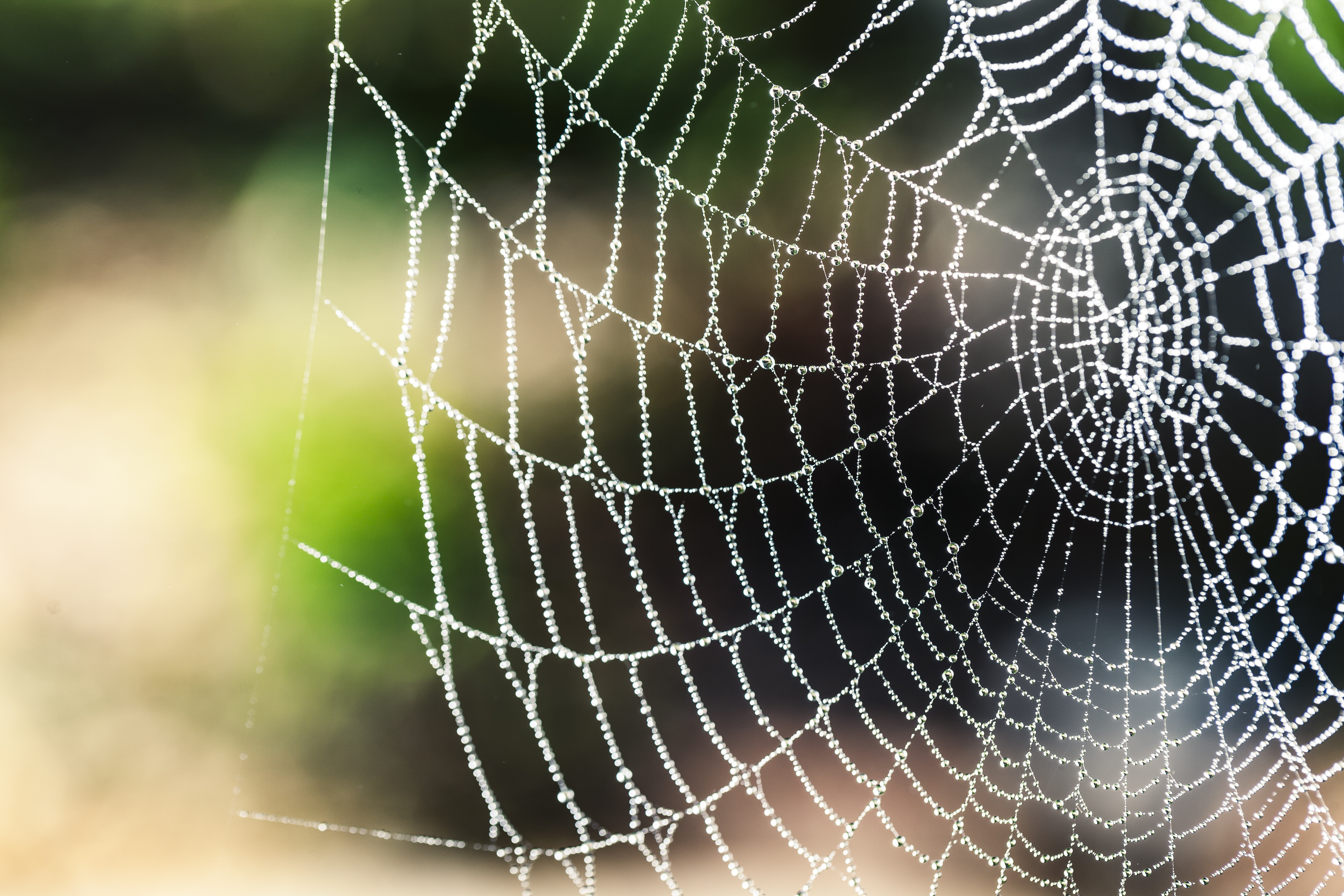 Free download wallpaper Macro, Photography, Water Drop, Spider Web on your PC desktop