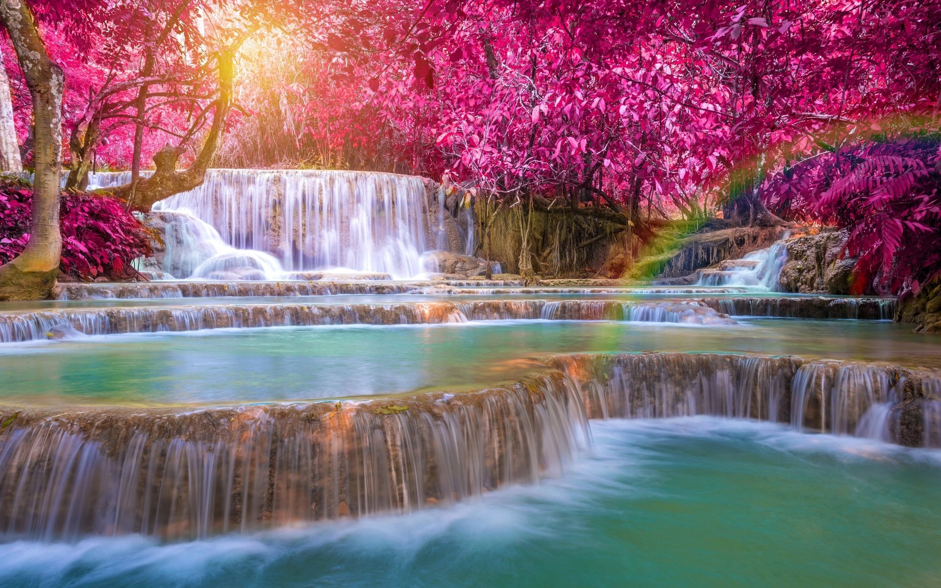 Free download wallpaper Nature, Waterfalls, Rainbow, Waterfall, Tree, Earth on your PC desktop