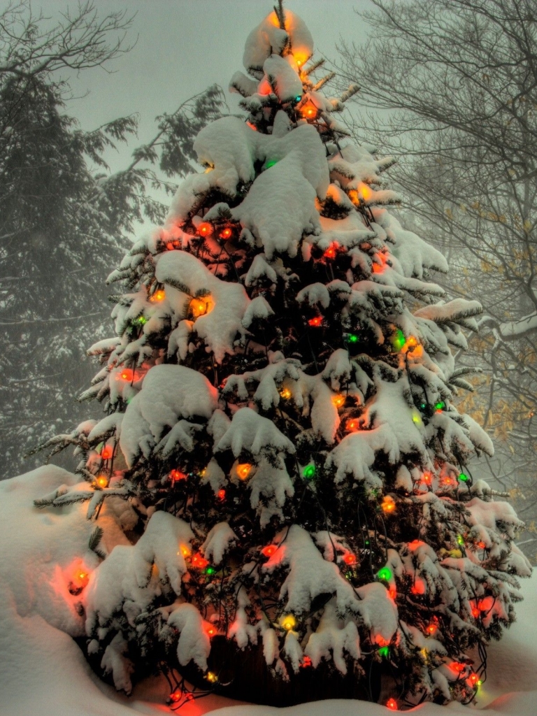 Download mobile wallpaper Snow, Christmas, Holiday, Christmas Tree, Christmas Lights for free.