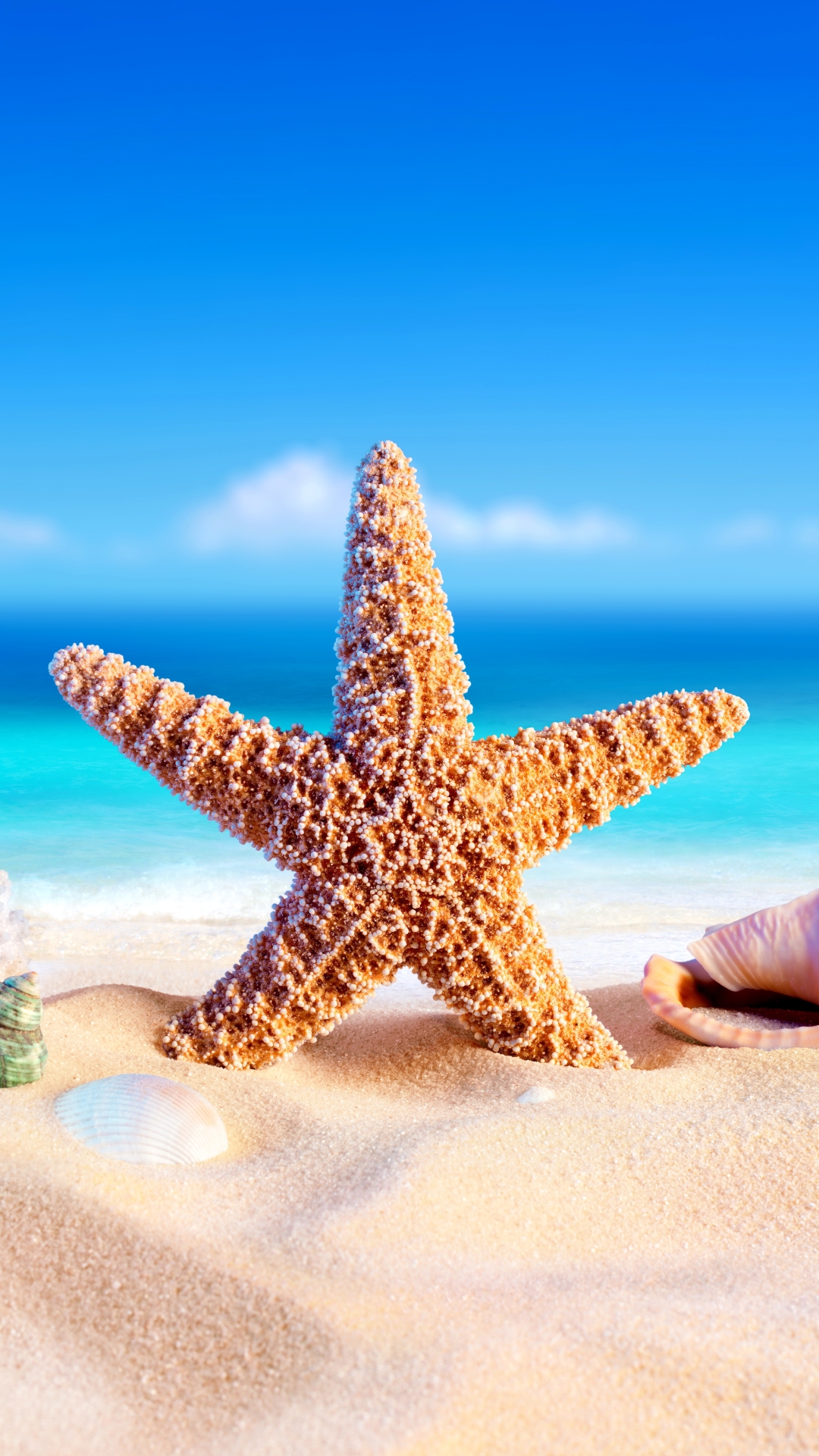 Download mobile wallpaper Sand, Summer, Starfish, Artistic for free.