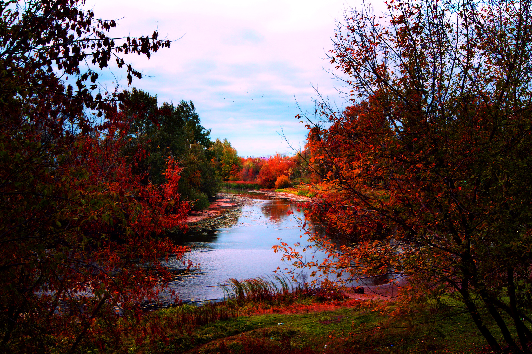 Descarga gratis la imagen Naturaleza, Otoño, Rio, Árbol, Tierra/naturaleza en el escritorio de tu PC