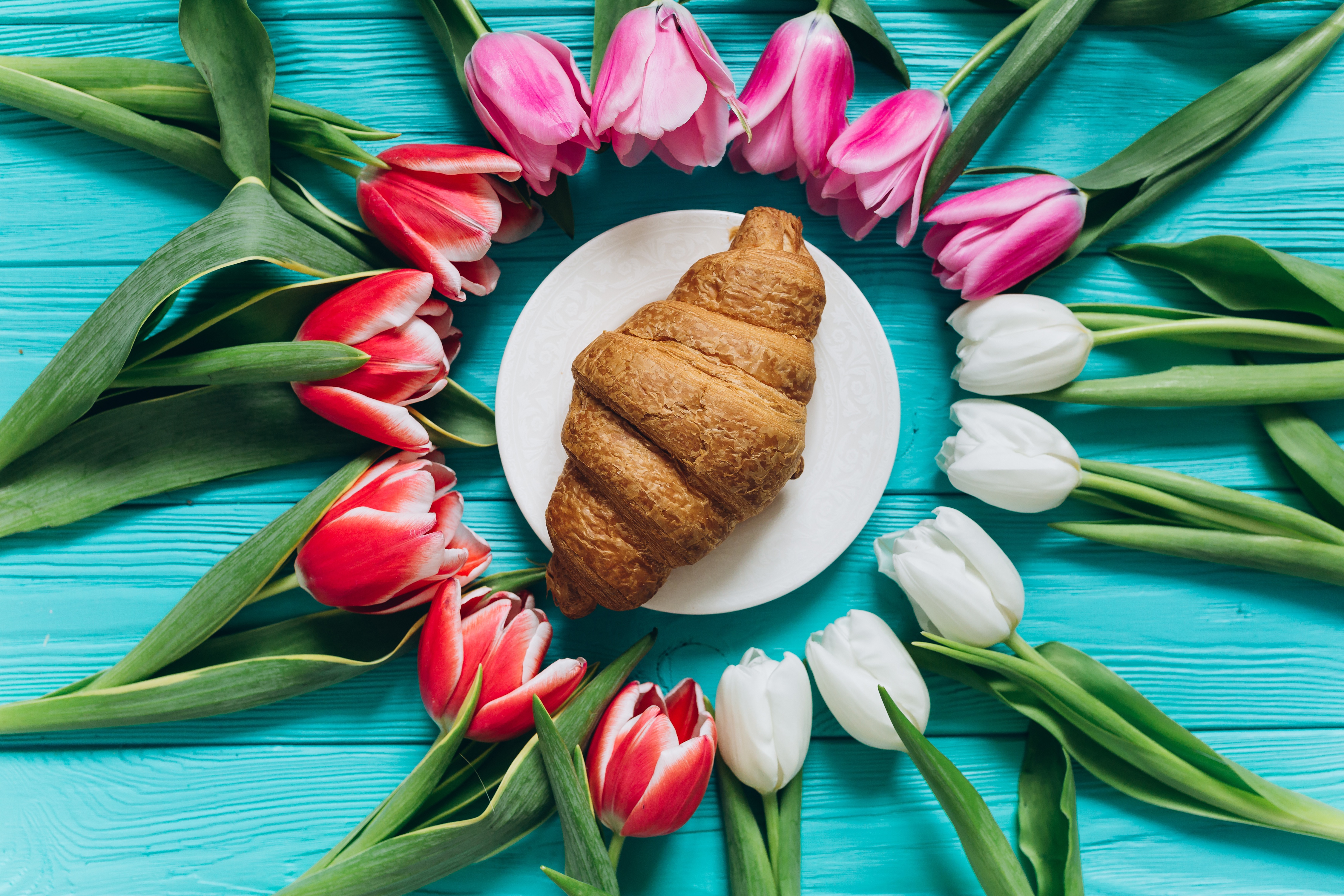 Free download wallpaper Food, Still Life, Flower, Tulip, Croissant, Red Flower, Pink Flower, Viennoiserie on your PC desktop