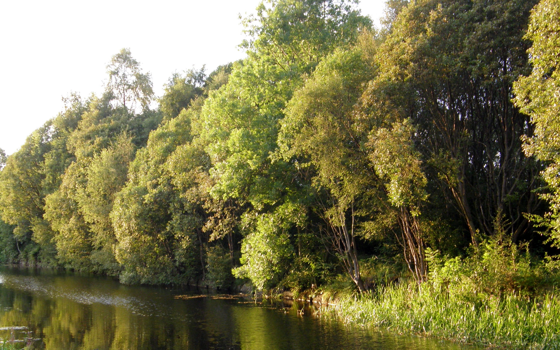 Téléchargez des papiers peints mobile Terre/nature, Rivière gratuitement.