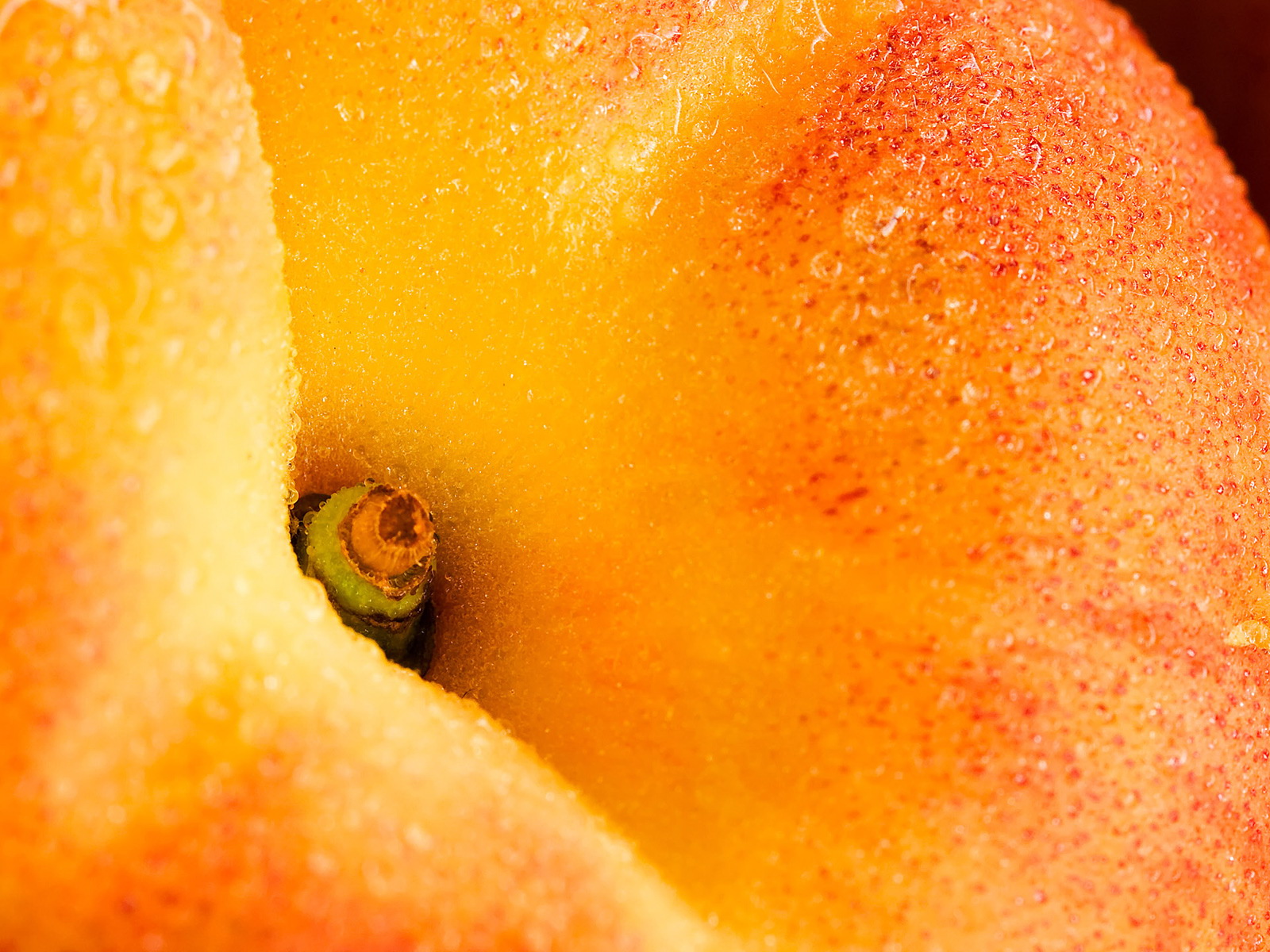 Download mobile wallpaper Food, Fruit, Dew, Peach for free.