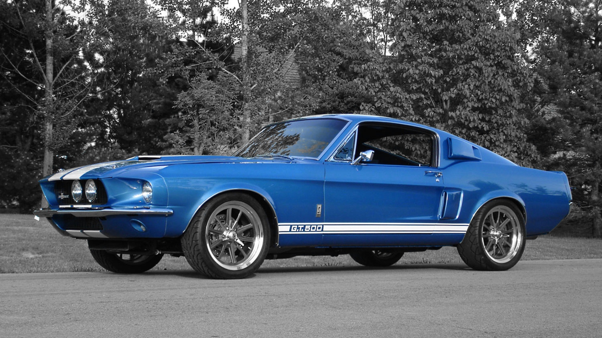 vehicles, ford mustang gt500, ford