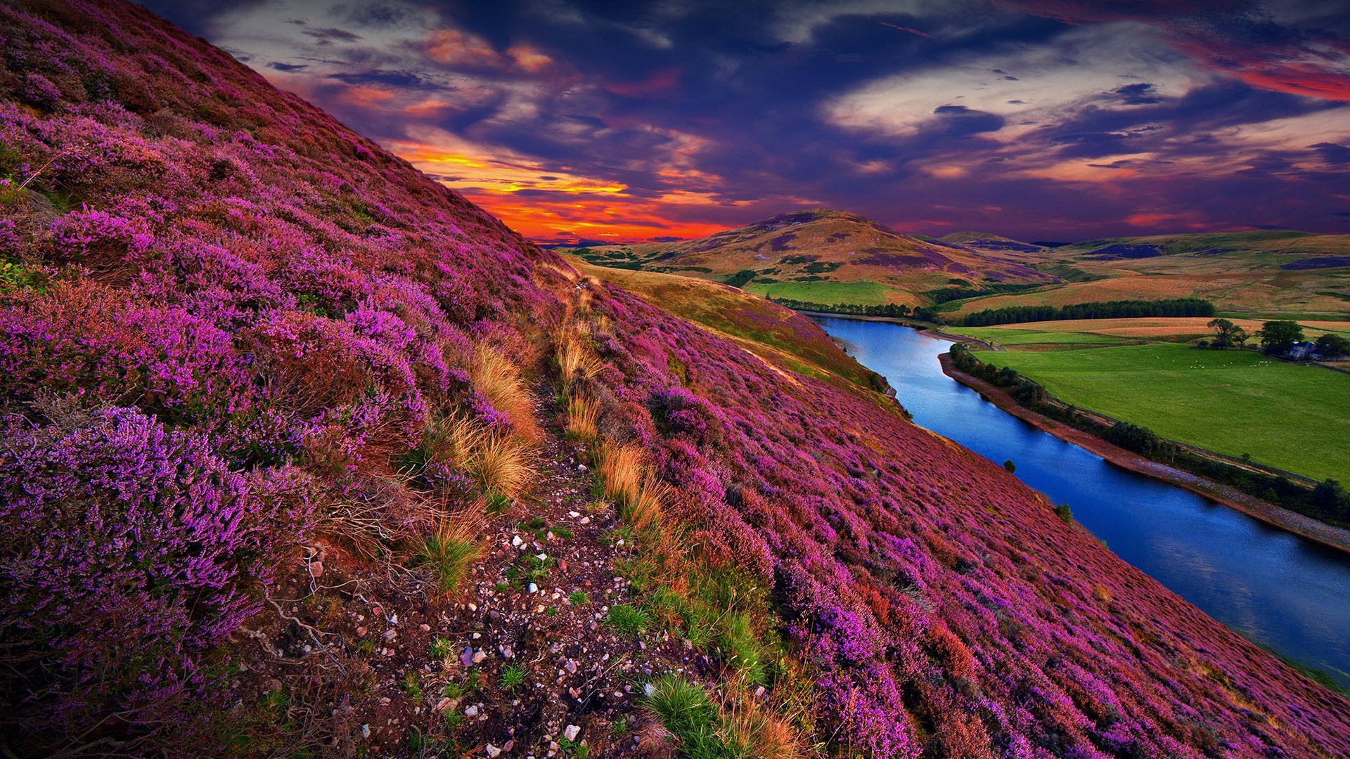 Скачать обои бесплатно Природа, Река, Закат, Небо, Облака, Цветок, Шотландия, Холм, Великобритания, Земля/природа картинка на рабочий стол ПК