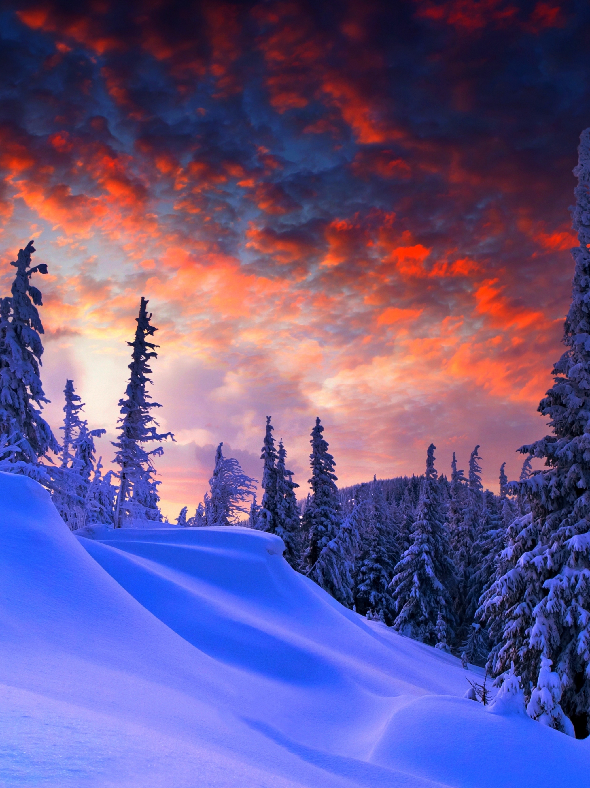 Download mobile wallpaper Winter, Snow, Earth, Evening for free.