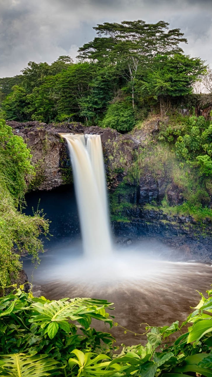 Descarga gratuita de fondo de pantalla para móvil de Cascadas, Cascada, Bosque, Árbol, Tierra, Tierra/naturaleza.