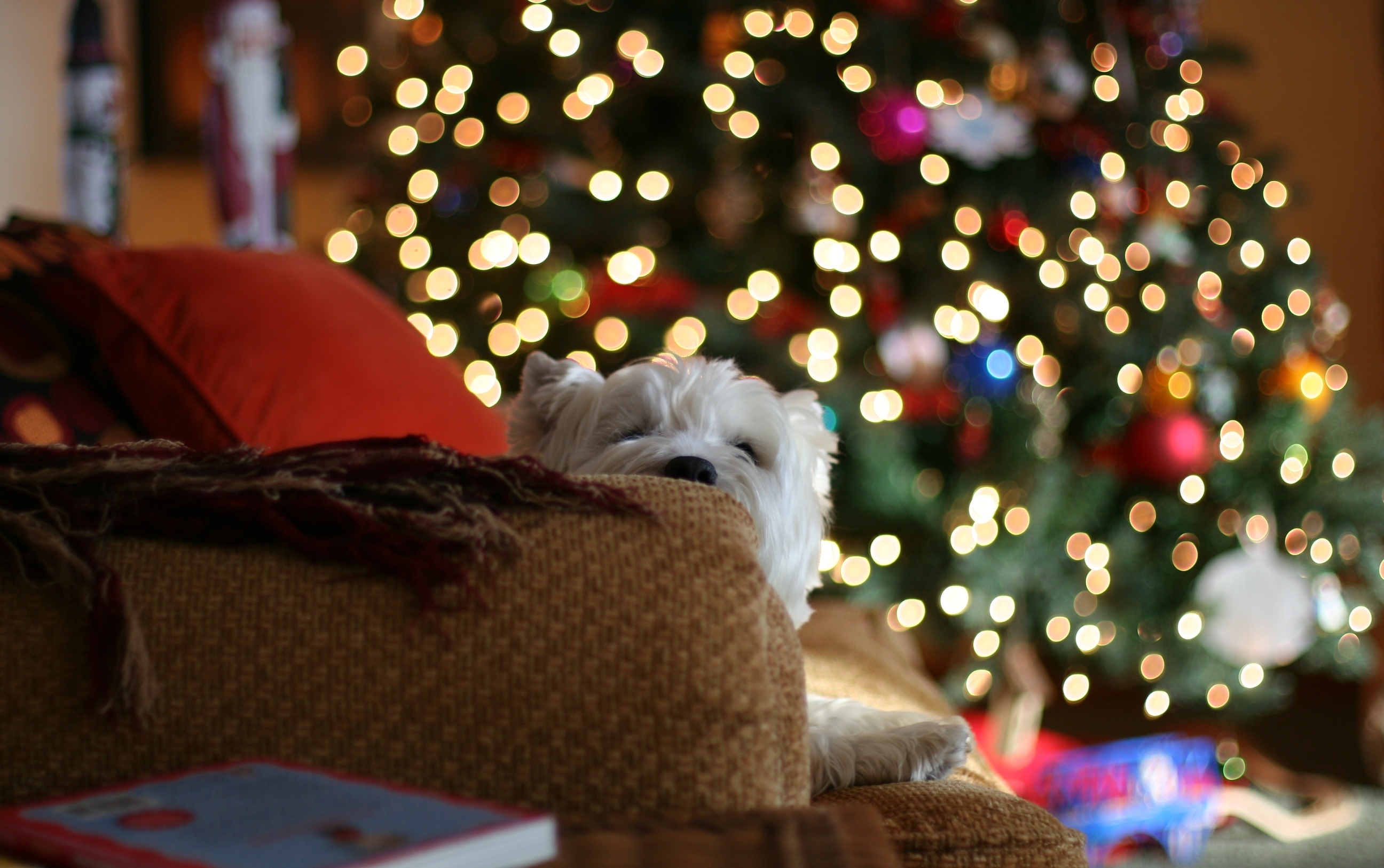 Скачать картинку Рождество, Праздничные, Собака в телефон бесплатно.