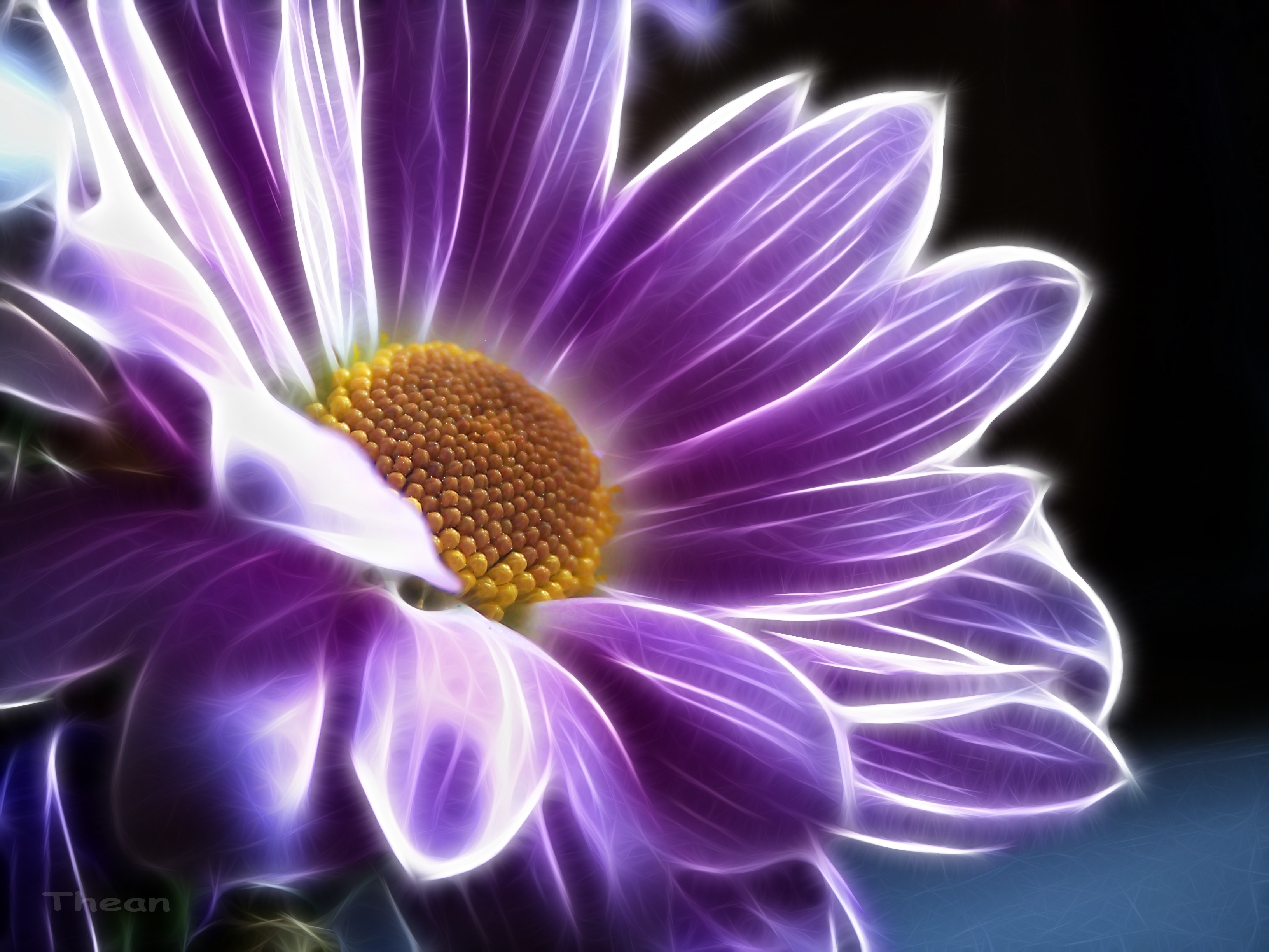 Download mobile wallpaper Flowers, Chrysanthemum, Flower, Purple, Artistic for free.