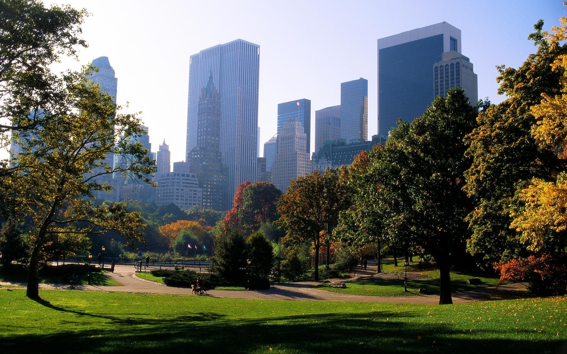 central park, man made, city, fall, manhattan, nature, new york, season, cities