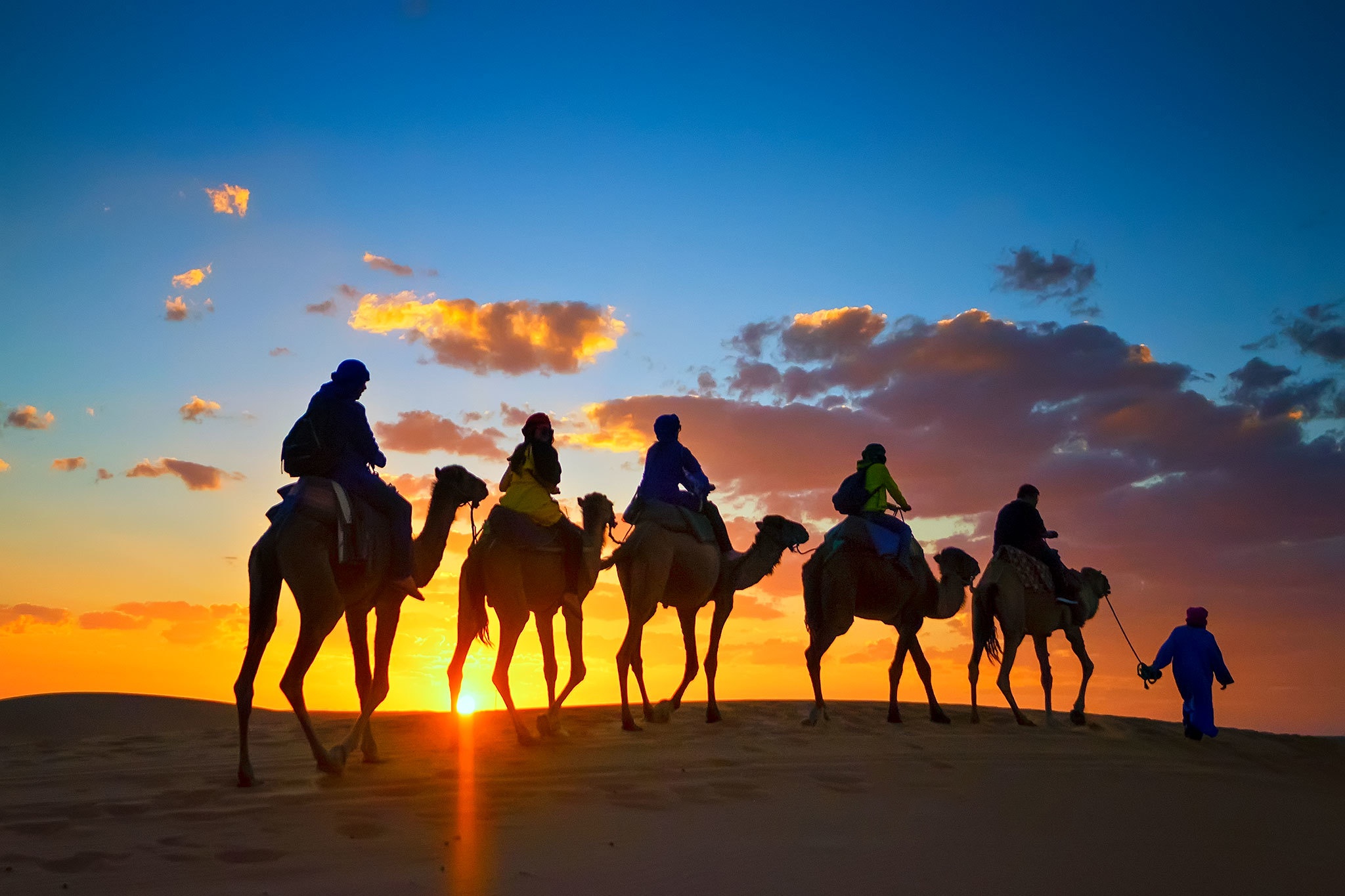986876 Bild herunterladen fotografie, wohnwagen, kamel, steppe - Hintergrundbilder und Bildschirmschoner kostenlos