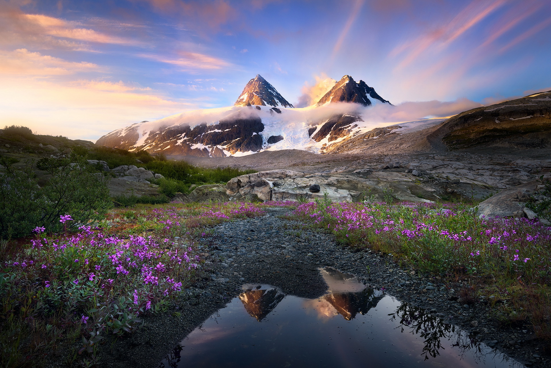 PCデスクトップに風景, 自然, 山, ピーク, 反射, 地球, 山岳, 紫色の花画像を無料でダウンロード