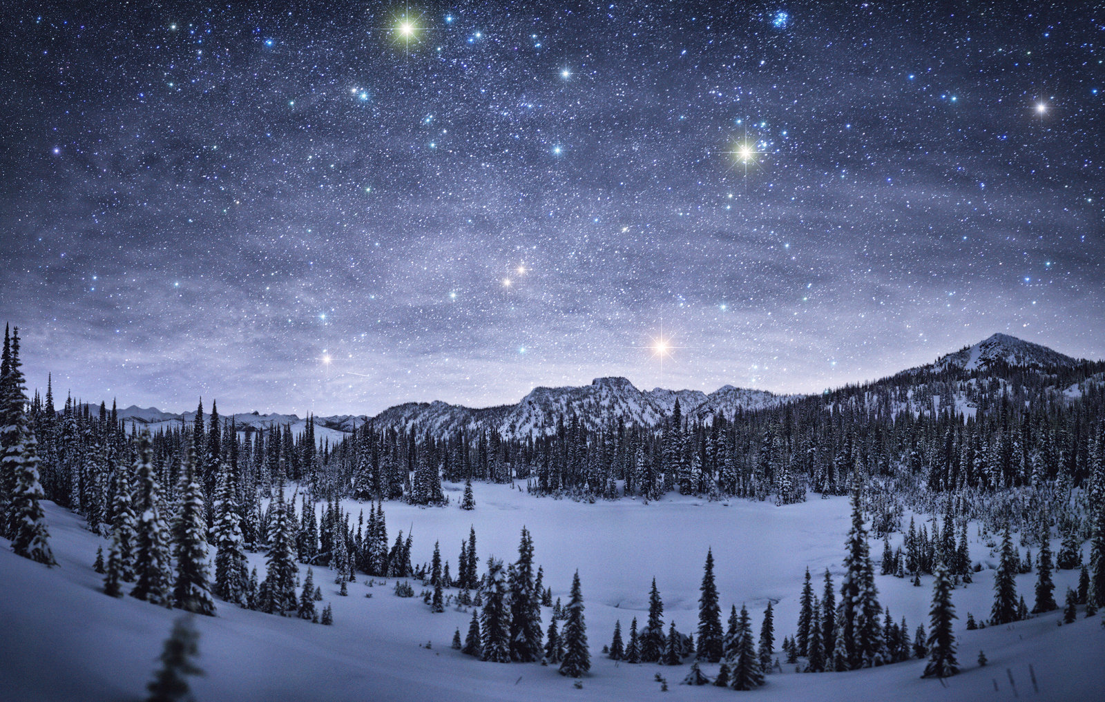 Laden Sie das Landschaft, Winter, Sterne, Schnee, Baum, Nacht, Himmel, Erde/natur, Sternenklarer Himmel-Bild kostenlos auf Ihren PC-Desktop herunter