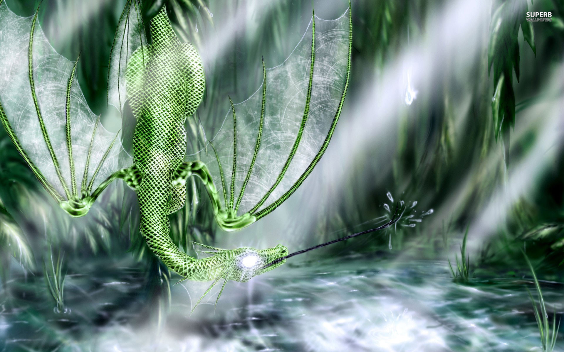 Free download wallpaper Fantasy, Dragon on your PC desktop