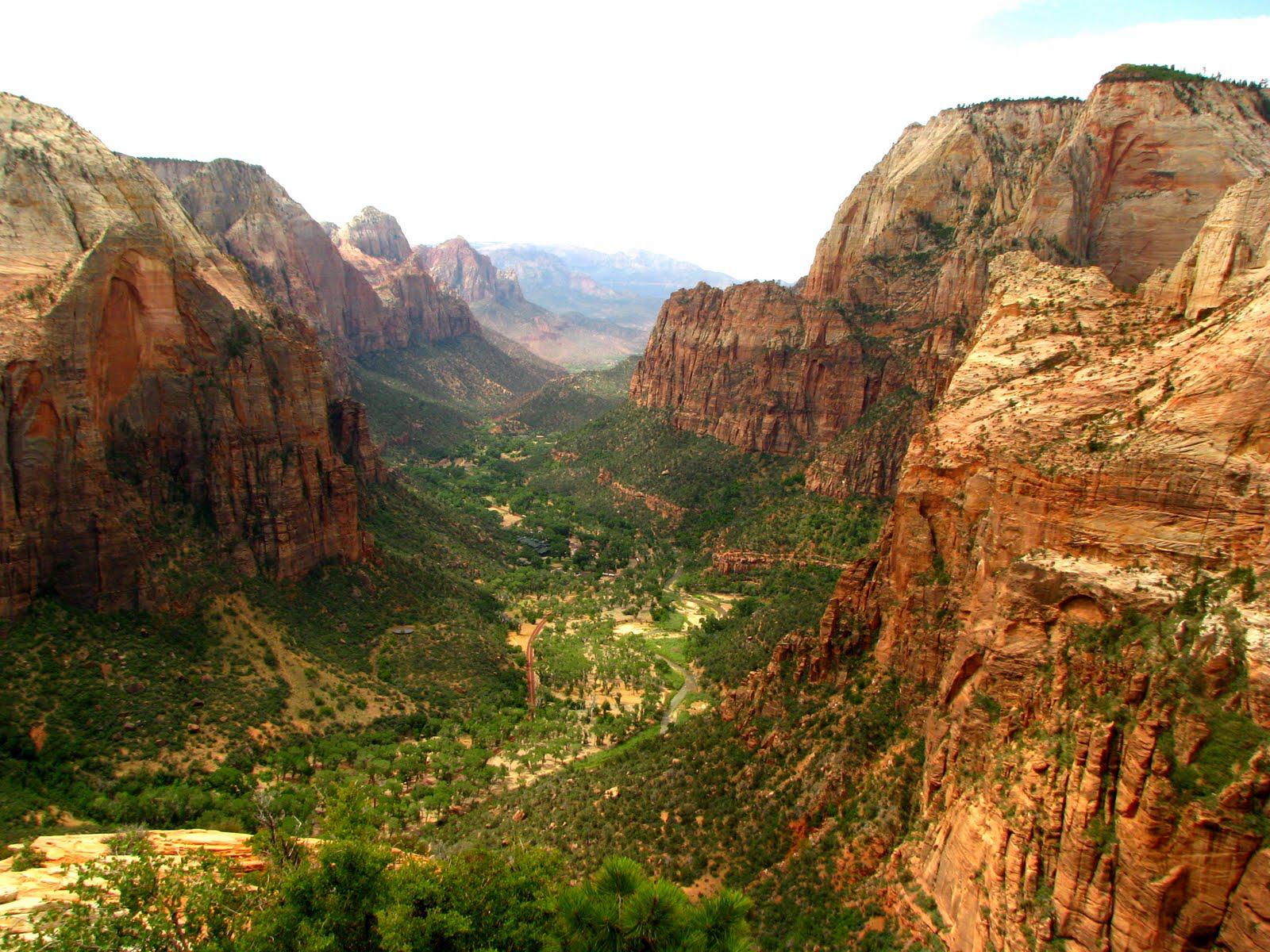 Free download wallpaper Canyon, Mountain, Tree, Earth, Zion National Park, Valley on your PC desktop