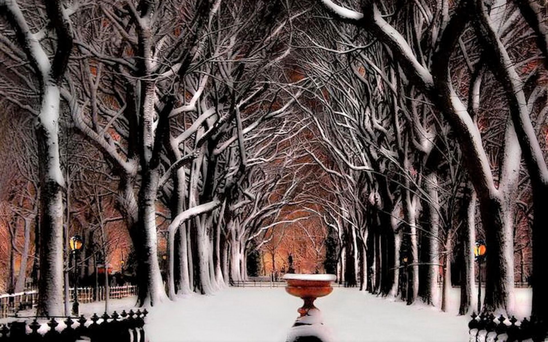 Download mobile wallpaper Winter, Snow, Light, Park, Tree, Earth for free.