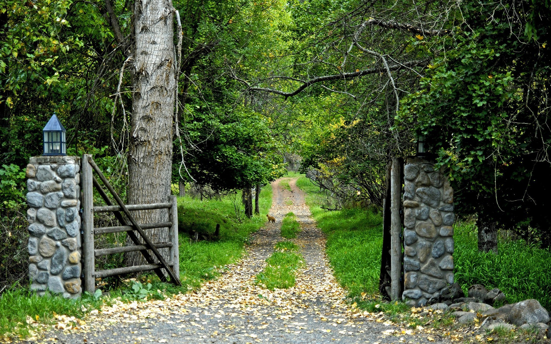 Free download wallpaper Road, Tree, Earth, Path, Gate on your PC desktop