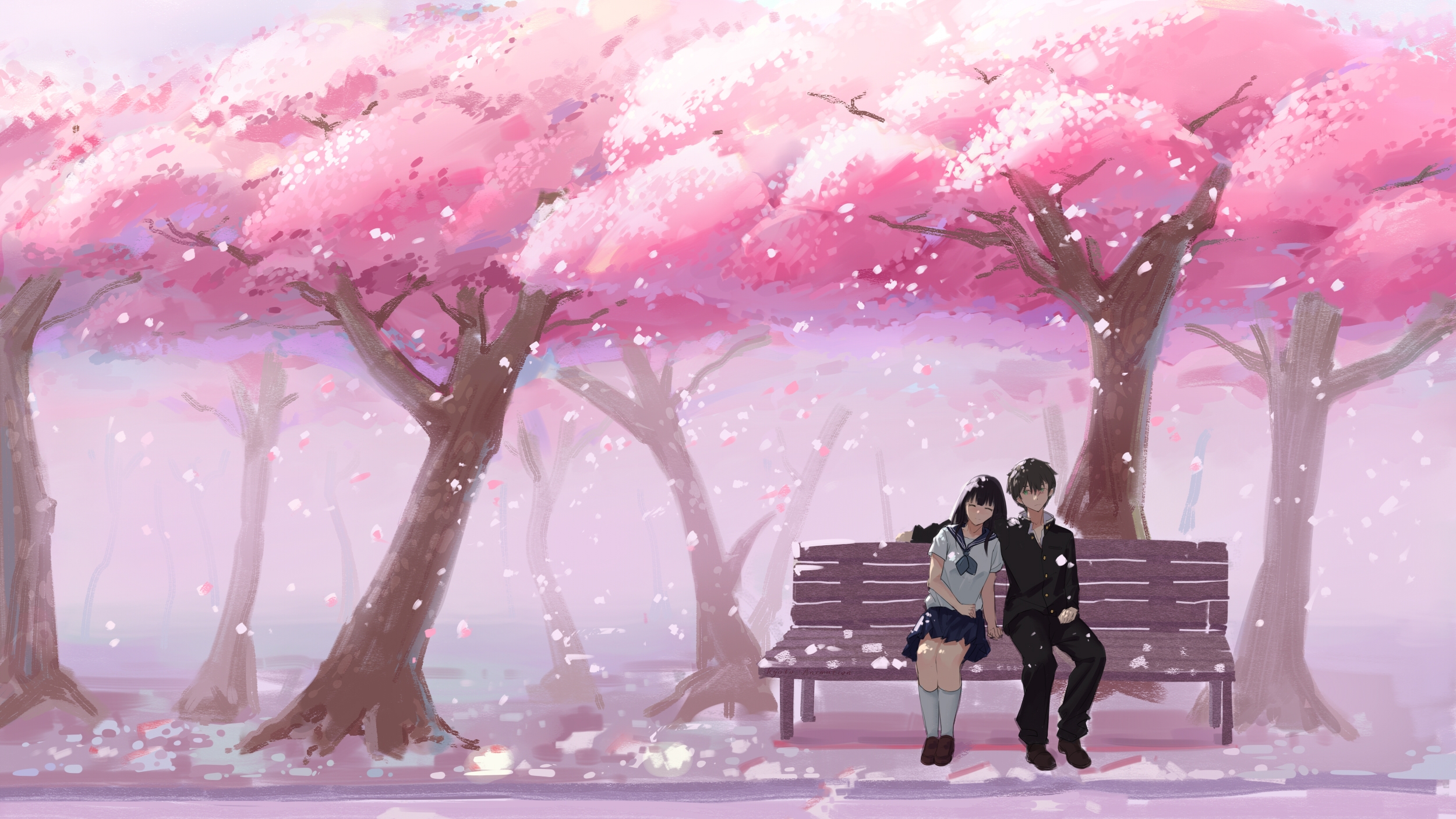 992435 Hintergrundbilder und Sakura Blüte Bilder auf dem Desktop. Laden Sie  Bildschirmschoner kostenlos auf den PC herunter
