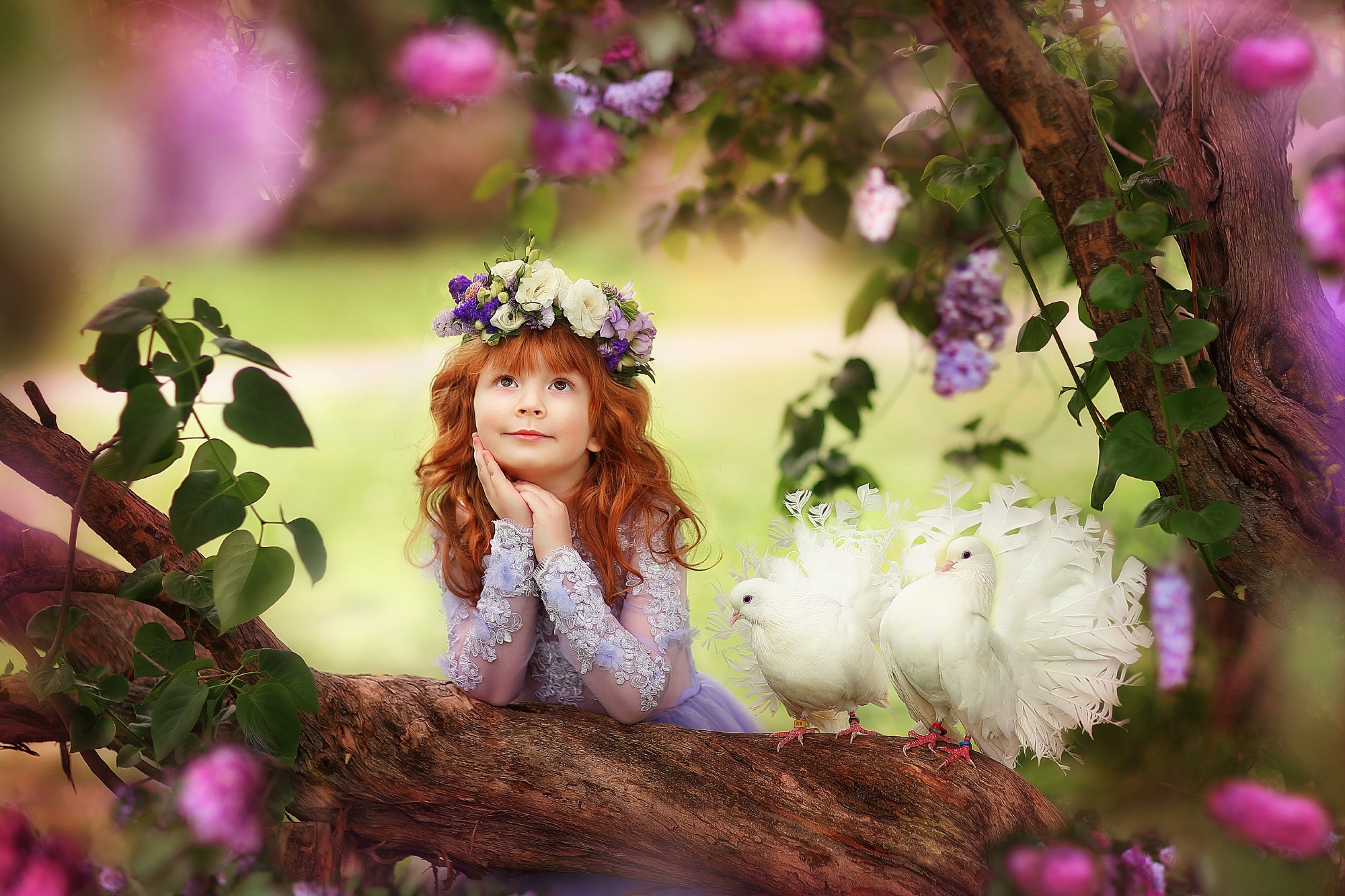 Free download wallpaper Redhead, Child, Wreath, Photography, Pigeon, Little Girl on your PC desktop