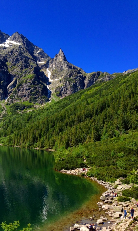 Baixar papel de parede para celular de Paisagem, Terra/natureza gratuito.