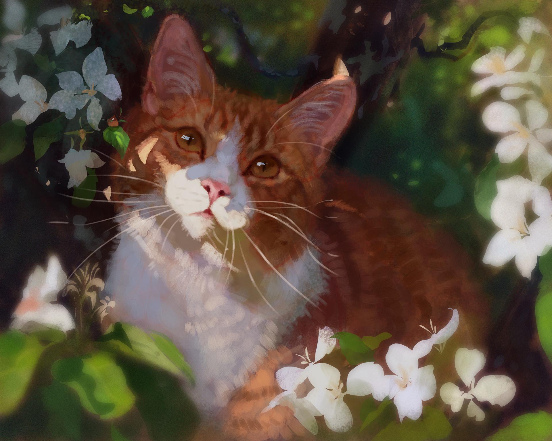 Free download wallpaper Cats, Flower, Cat, Animal on your PC desktop
