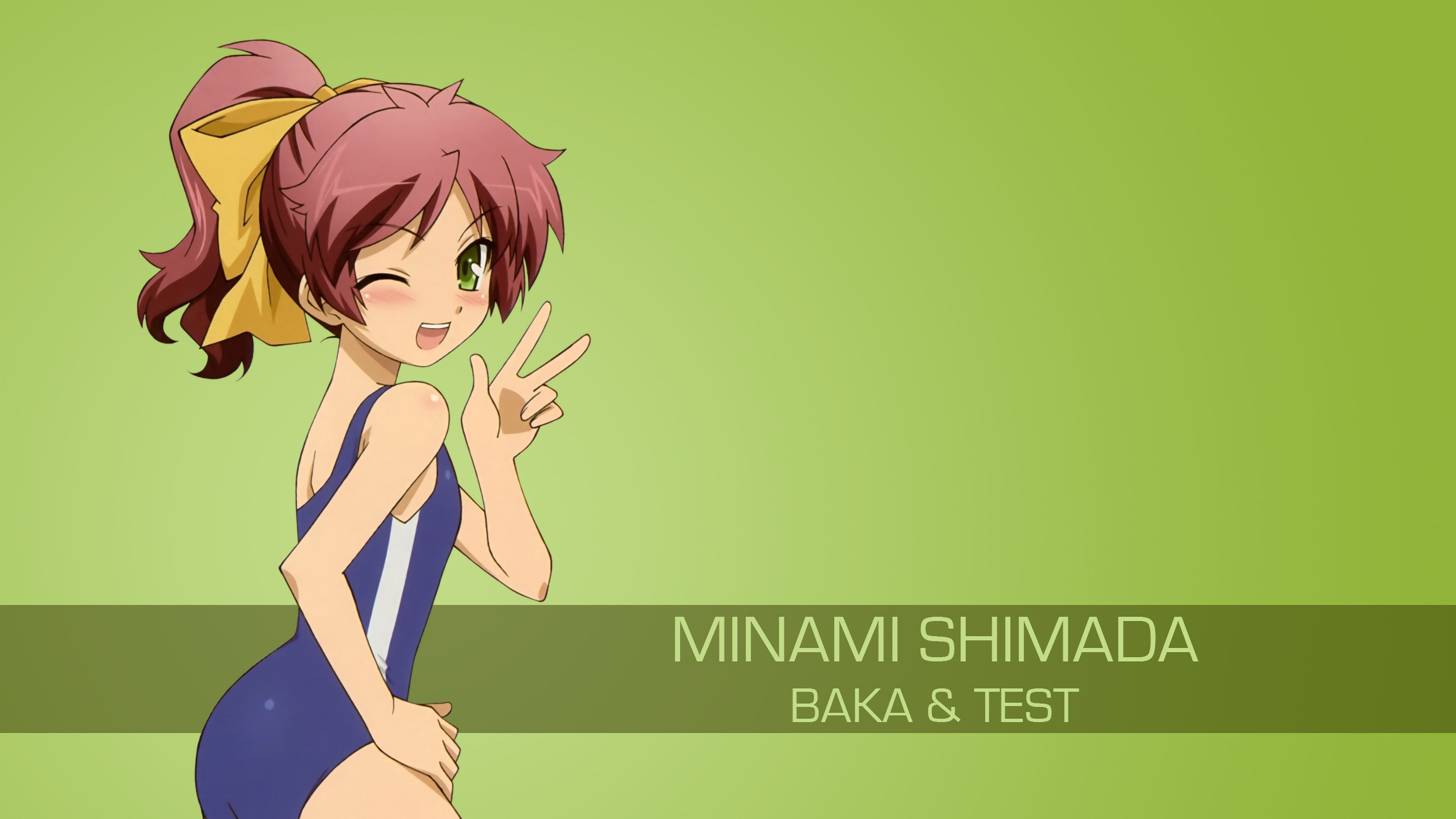 Descarga gratis la imagen Animado, Baka To Test To Shōkanjū en el escritorio de tu PC