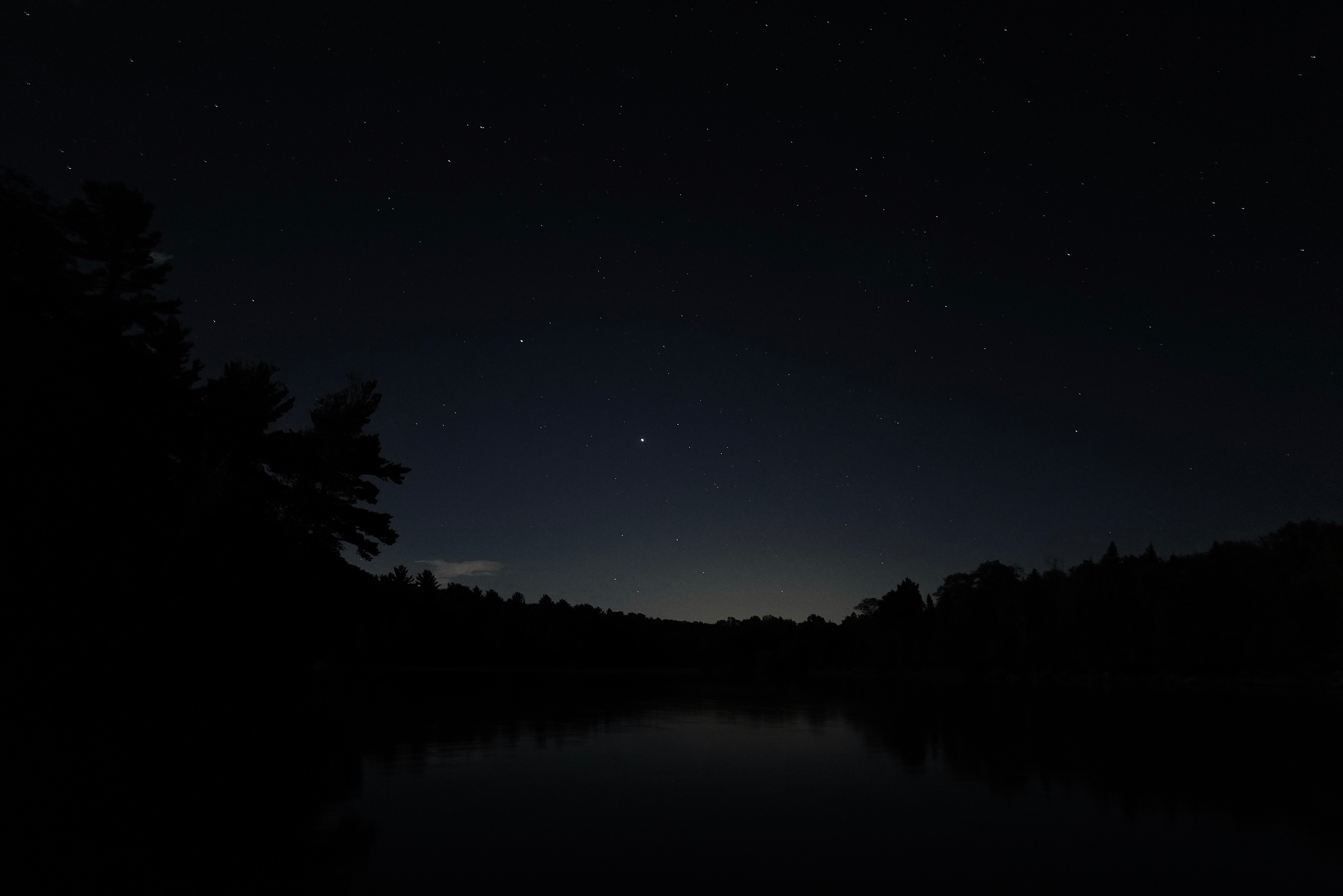dark, night, black, lake, silhouette, branches 1080p