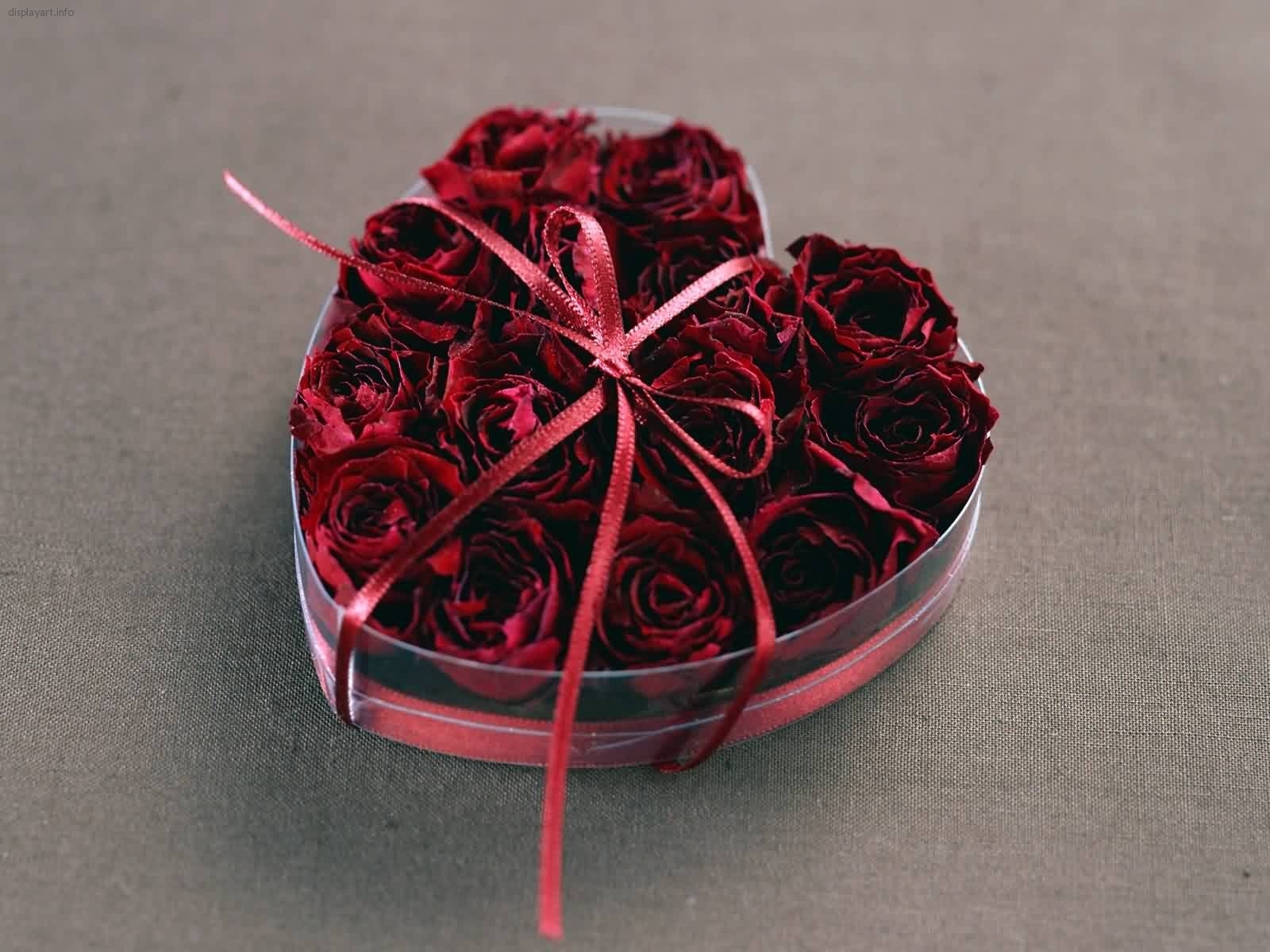 Laden Sie das Pflanzen, Valentinstag, Feiertage, Blumen, Roses, Liebe, Herzen-Bild kostenlos auf Ihren PC-Desktop herunter