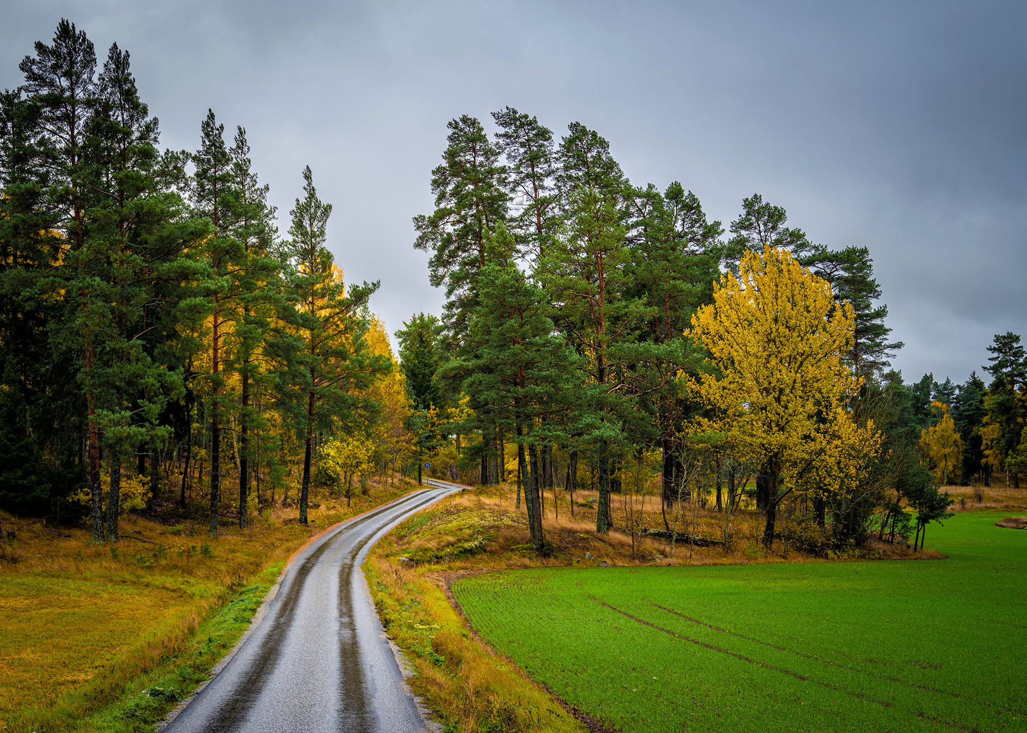 Free download wallpaper Road, Forest, Fall, Field, Sweden, Man Made on your PC desktop