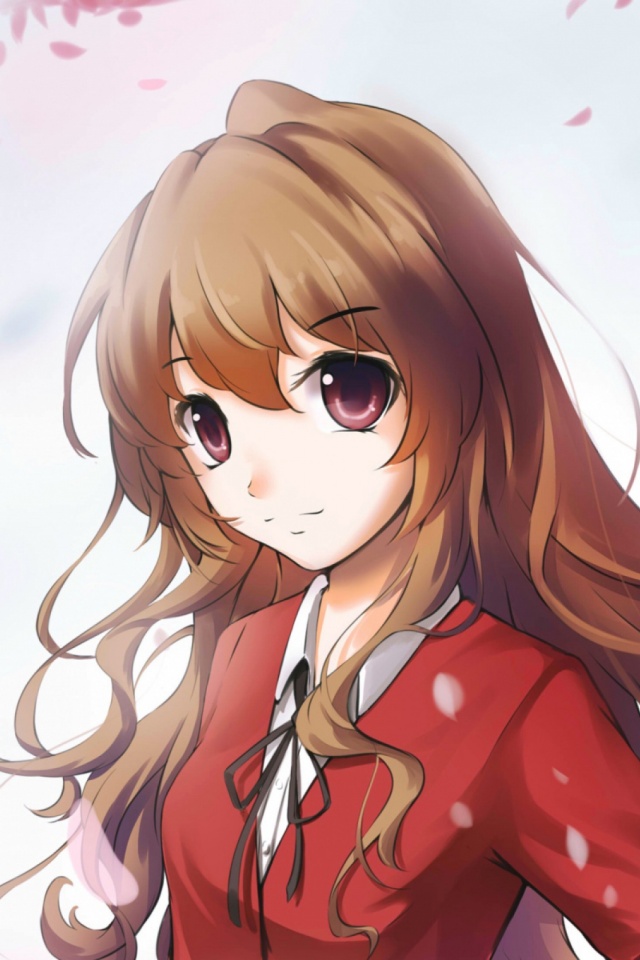 Download mobile wallpaper Toradora!, Taiga Aisaka, Anime for free.