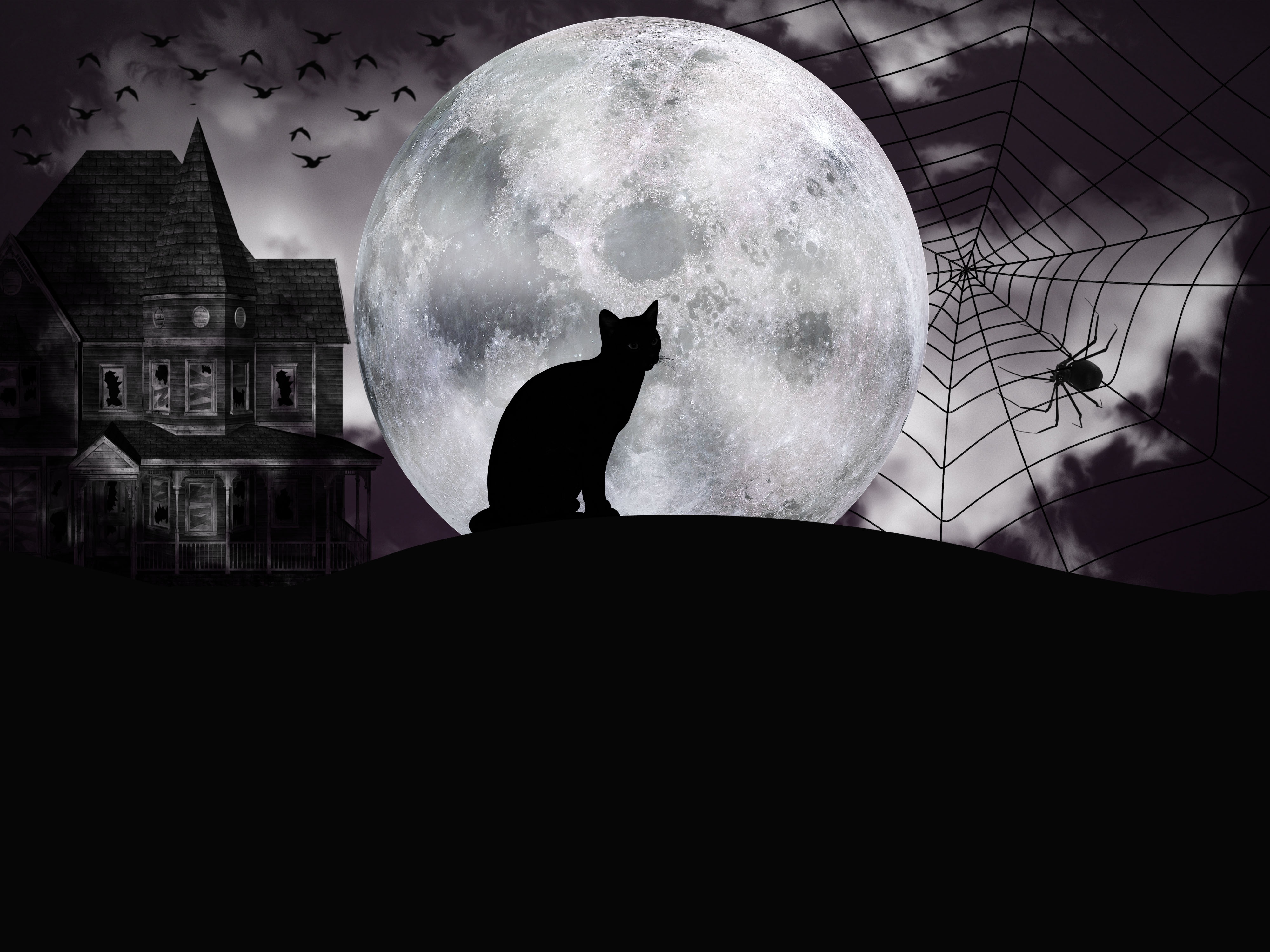 Download mobile wallpaper Halloween, Moon, Dark, Cat, Holiday, House, Spider, Spider Web for free.