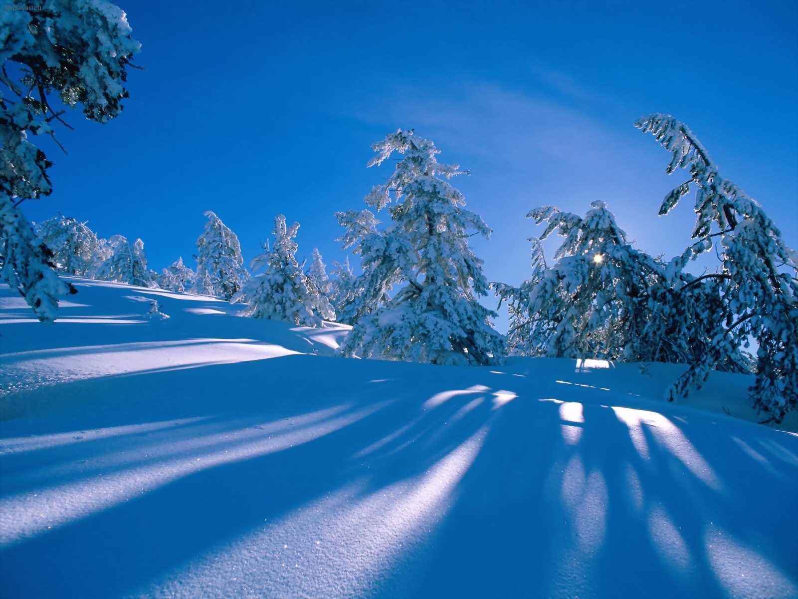 Download mobile wallpaper Winter, Snow, Landscape, Trees for free.