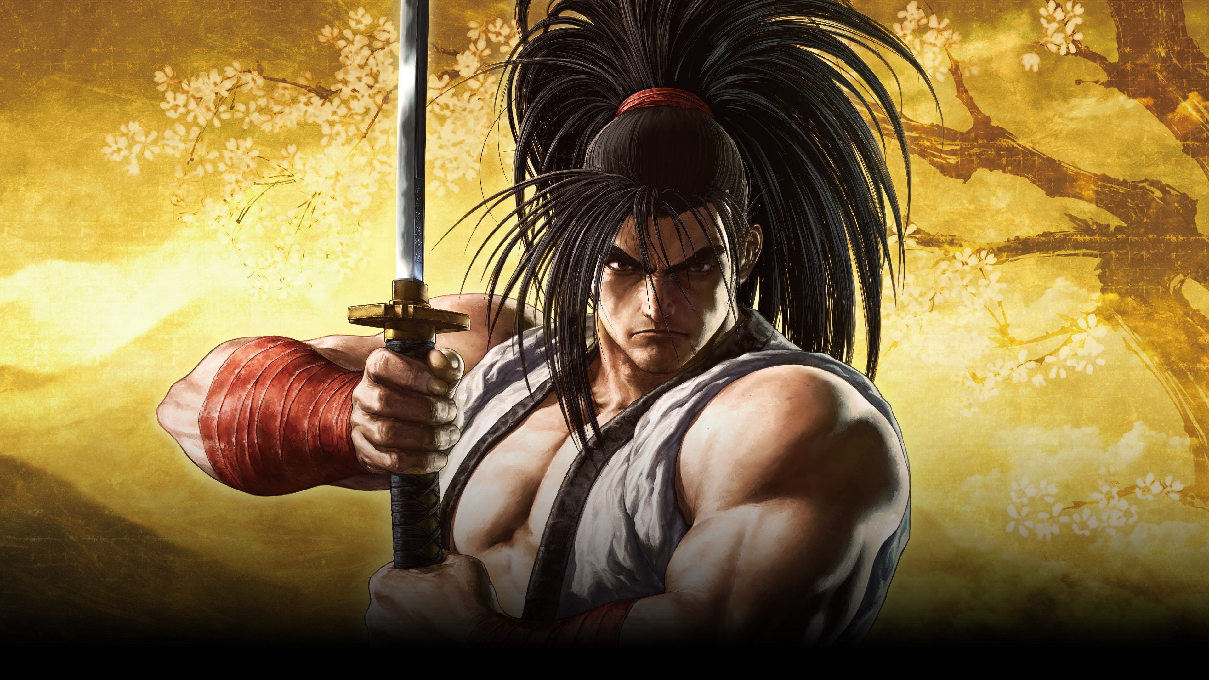 Los mejores fondos de pantalla de Samurai Shodown (2021) para la pantalla del teléfono