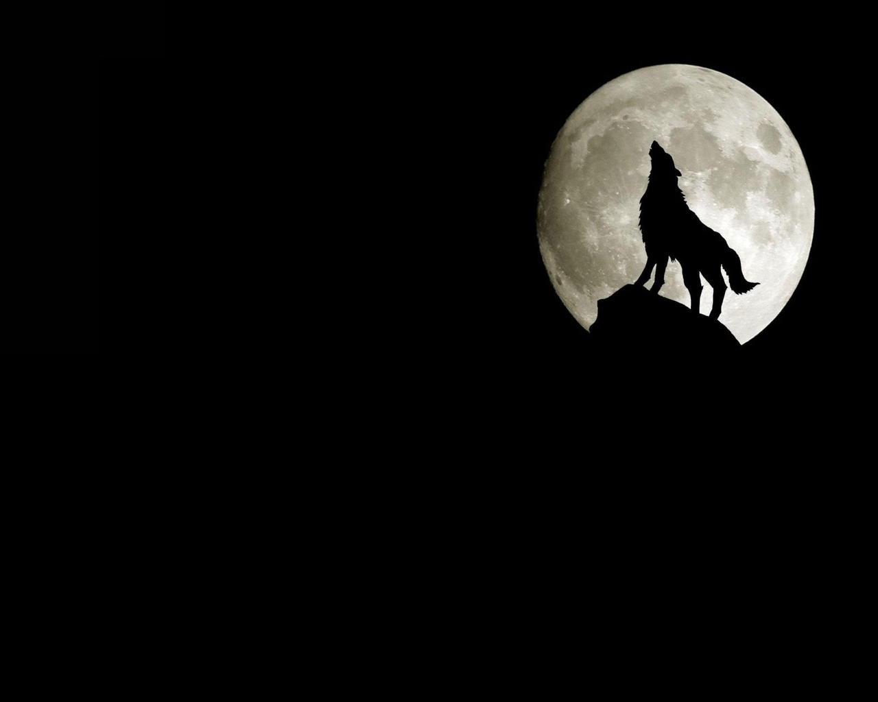 Download mobile wallpaper Animals, Wolfs, Moon for free.
