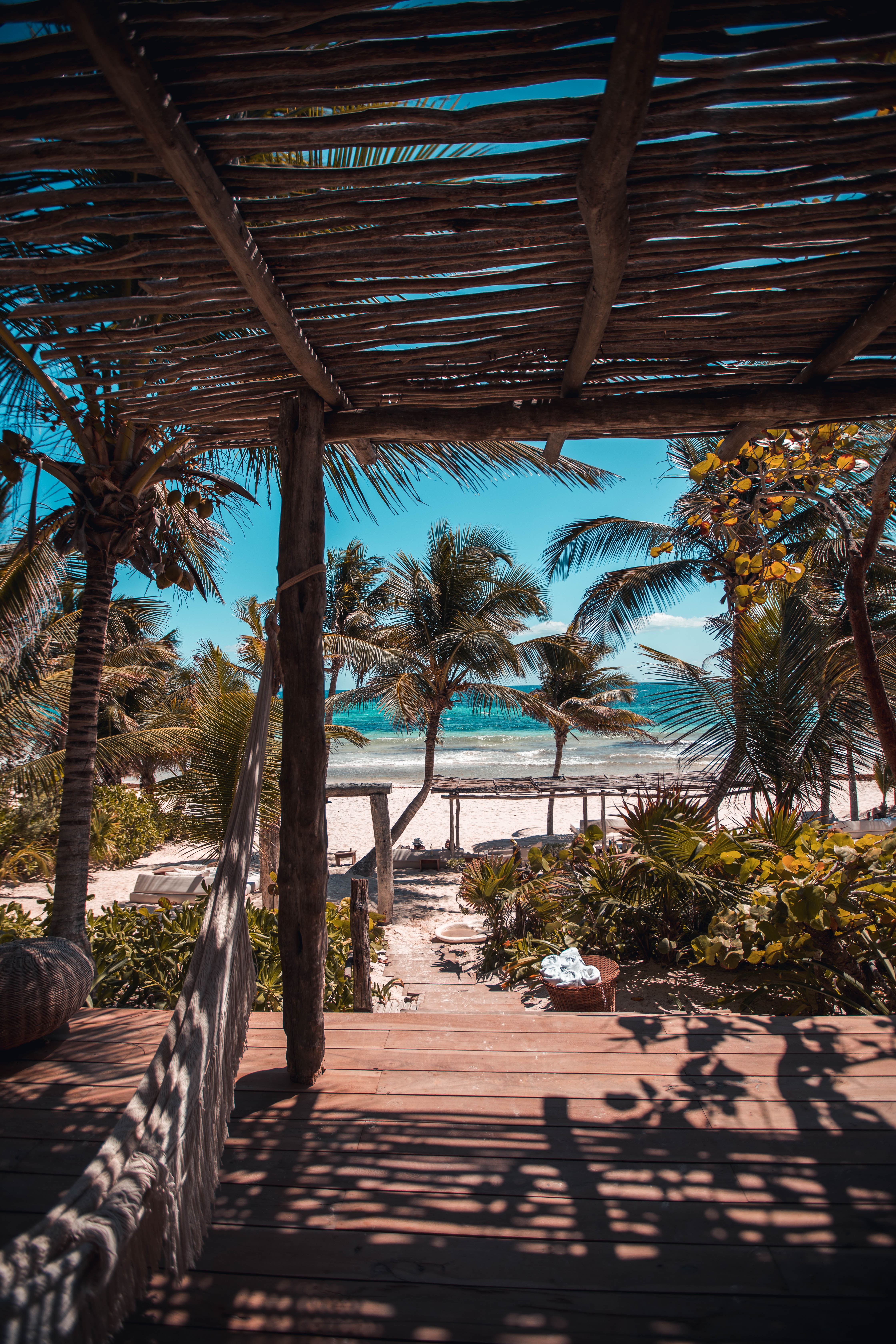 beach, summer, nature, palms, relaxation, rest, tropics HD wallpaper