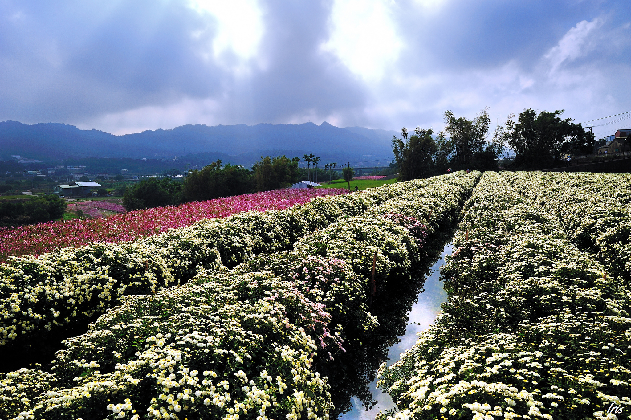 Laden Sie das Landschaft, Erde/natur-Bild kostenlos auf Ihren PC-Desktop herunter