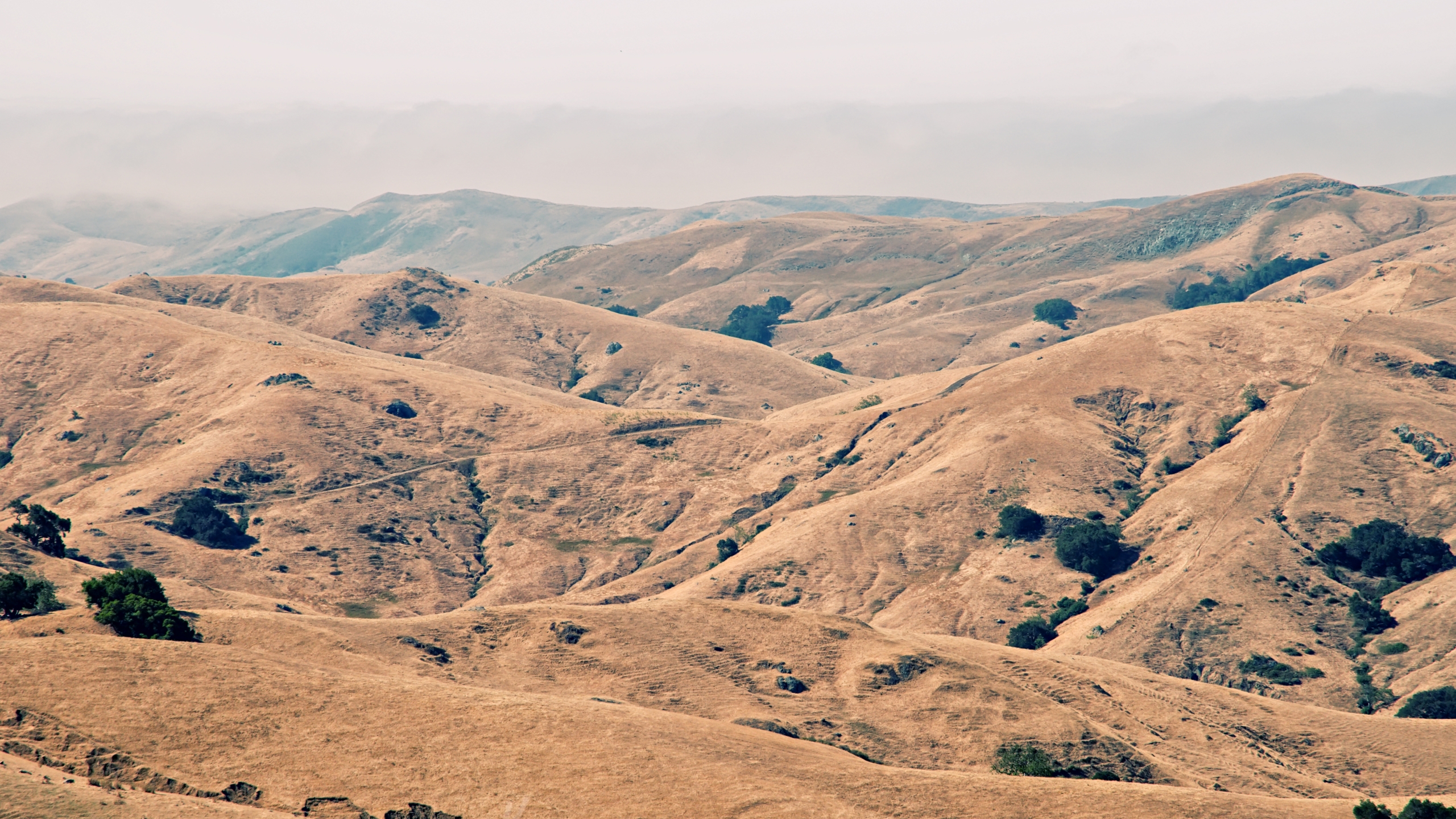 Descarga gratuita de fondo de pantalla para móvil de Paisaje, Tierra/naturaleza.