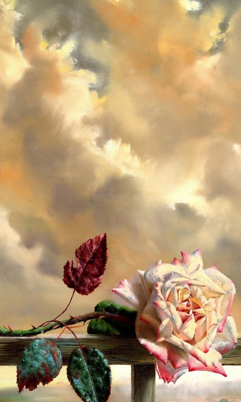 Download mobile wallpaper Love, Rose, Artistic, Cloud, Pink Rose for free.