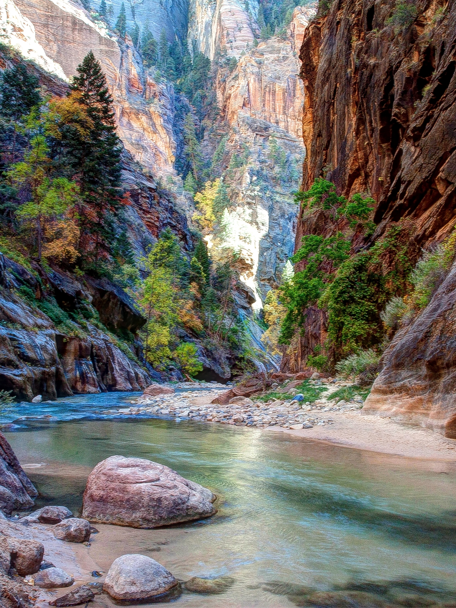 Baixar papel de parede para celular de Rio, Árvore, Terra/natureza gratuito.