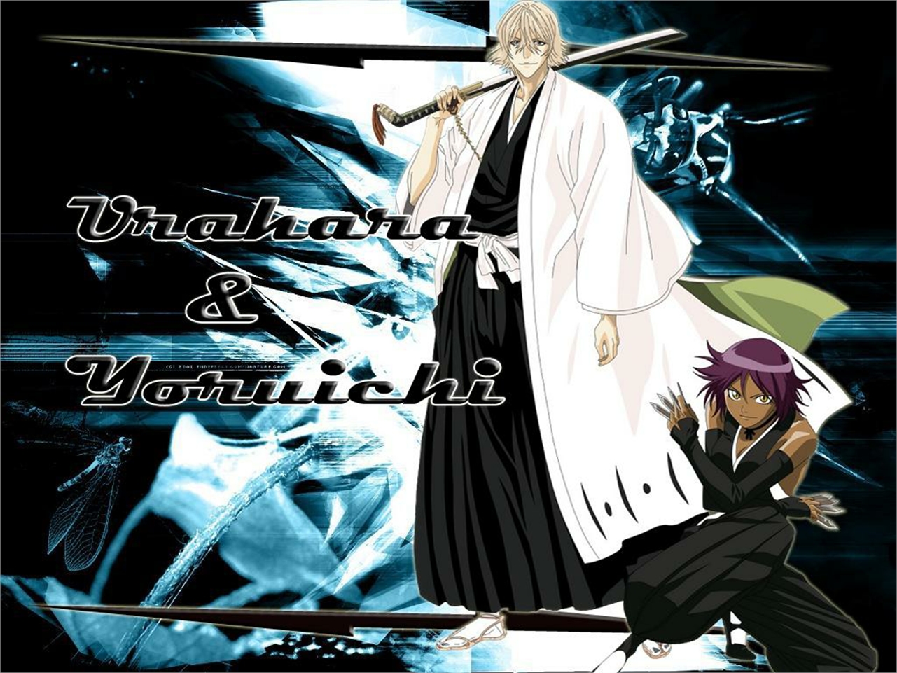 Download mobile wallpaper Anime, Bleach, Yoruichi Shihôin, Kisuke Urahara for free.