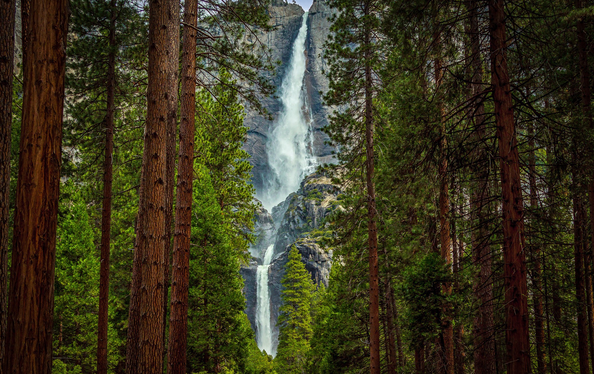 386924 скачать картинку водопады, лес, земля/природа, водопад, зеленый, гора, дерево, йосемитский национальный парк - обои и заставки бесплатно