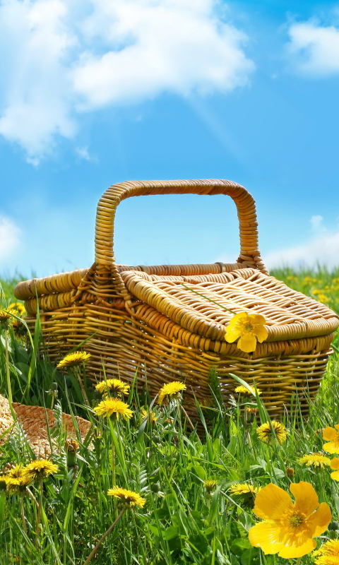 1314116 скачать обои весна, еда, пикник, корзинка для пикника, желтый цветок, поле - заставки и картинки бесплатно