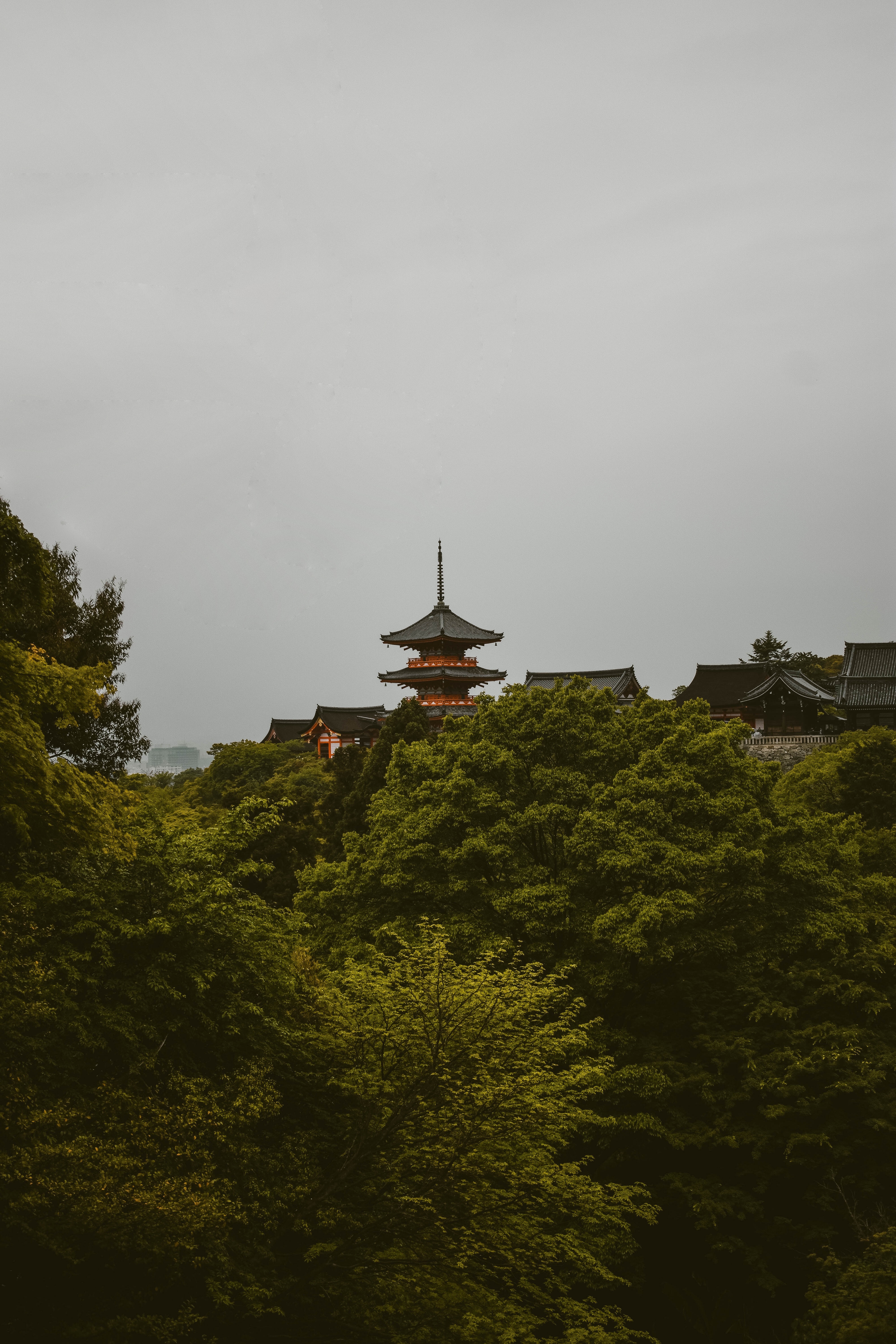 123559 скачать картинку пагода, природа, деревья, архитектура, префектура киото, япони - обои и заставки бесплатно