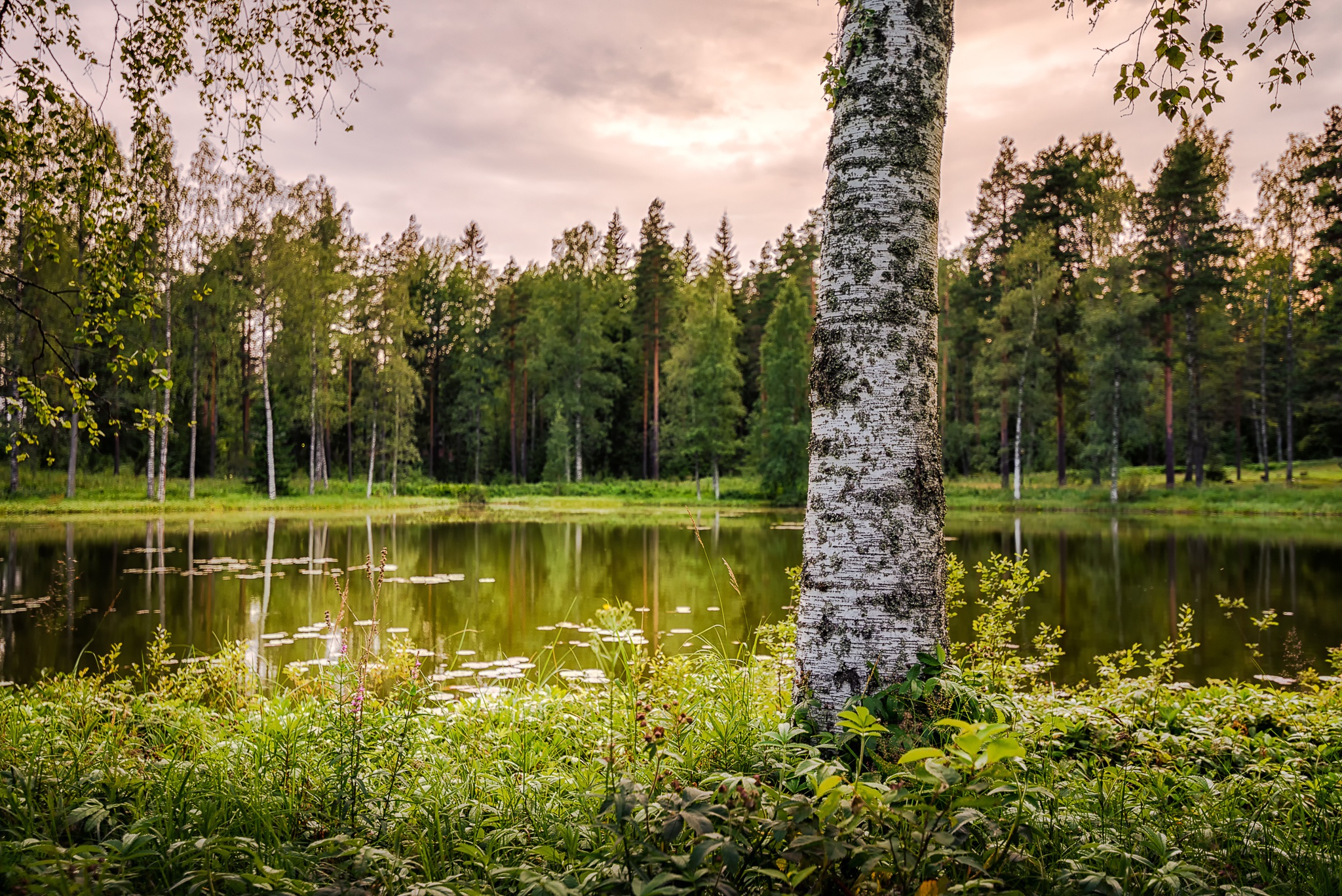 Descarga gratis la imagen Naturaleza, Lagos, Lago, Árbol, Tierra/naturaleza en el escritorio de tu PC