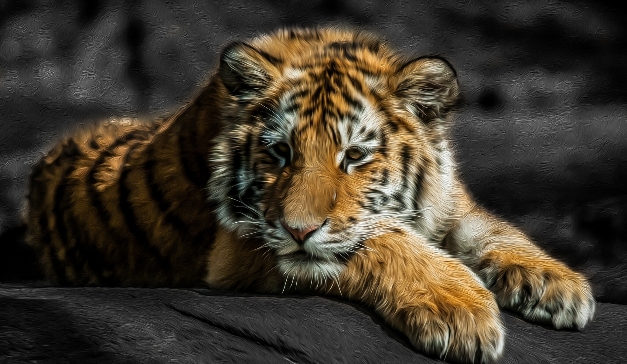 tiger cub, animals, young, kitty, kitten, to lie down, lie, predator, tiger, joey