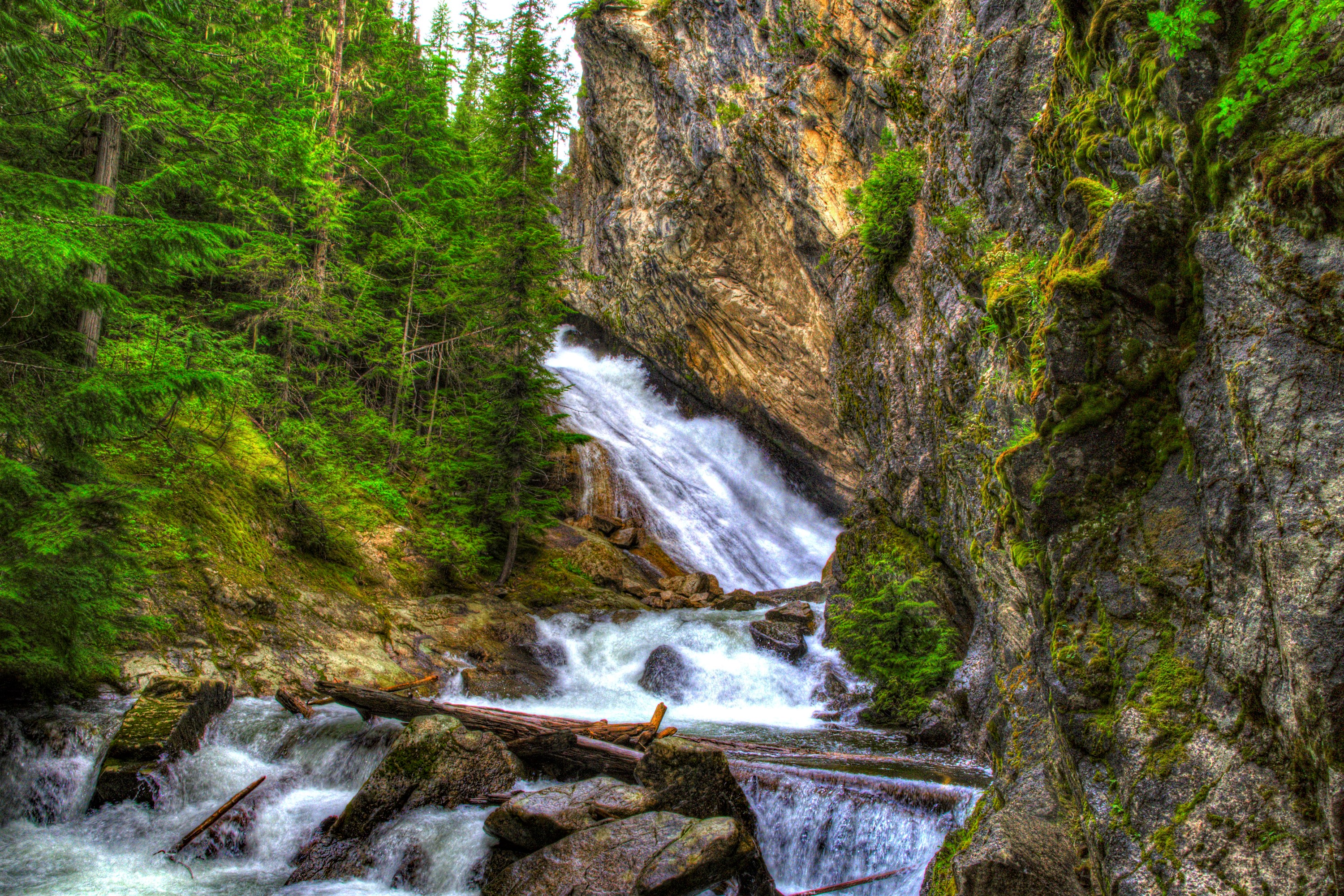 Download mobile wallpaper Waterfalls, Waterfall, Forest, Earth, Greenery for free.
