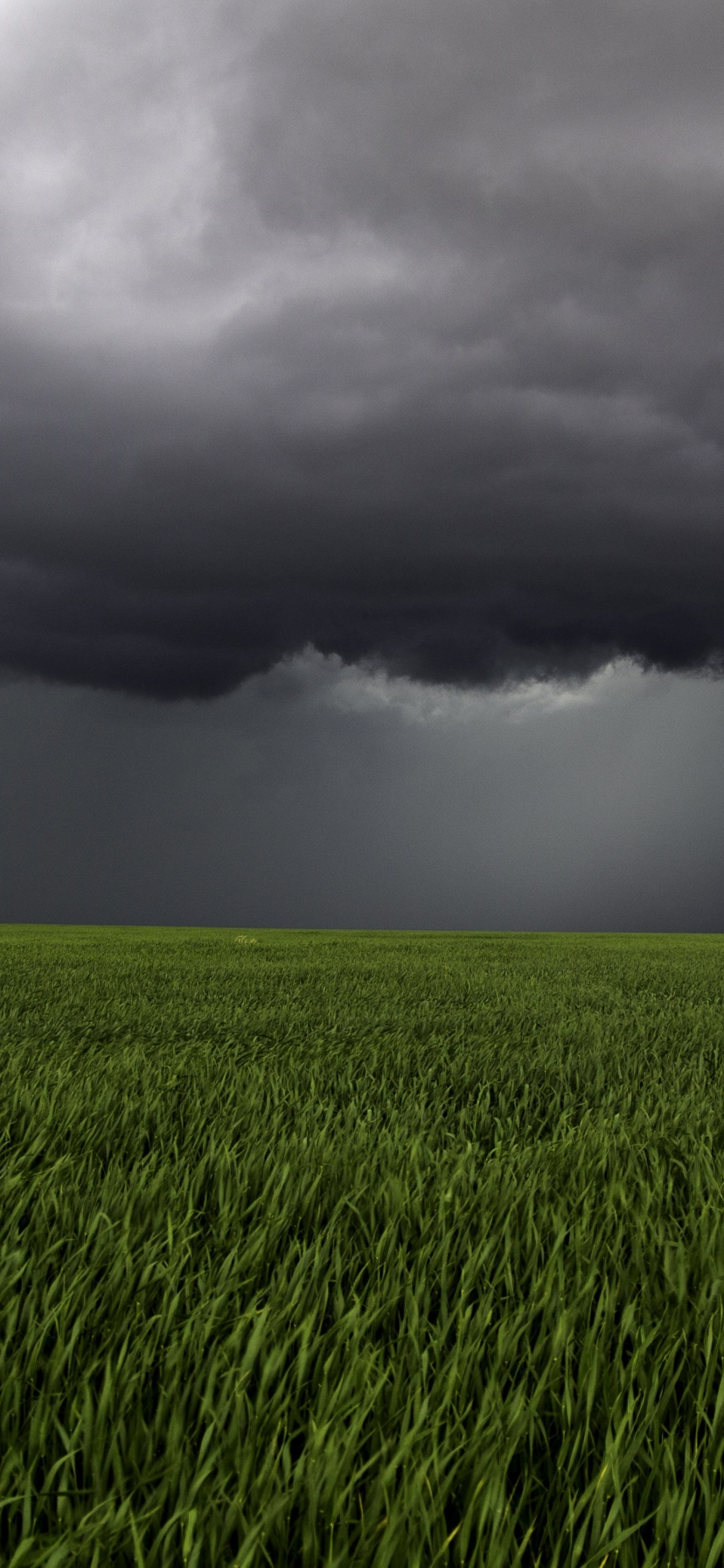 Download mobile wallpaper Grass, Earth, Field, Storm for free.